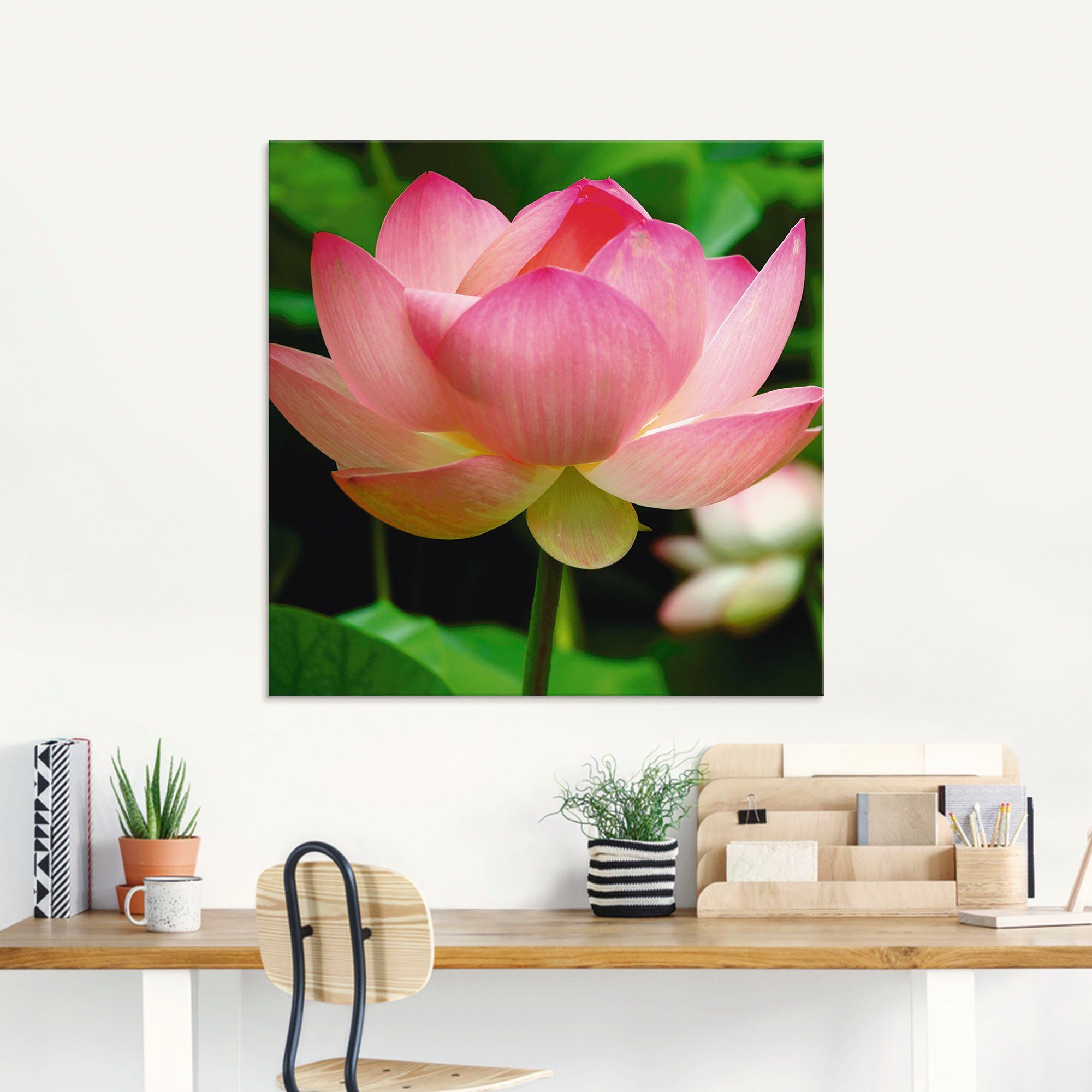 Artland Glasbild Lotus - Seerose, Blumen (1 St), in verschiedenen Größen