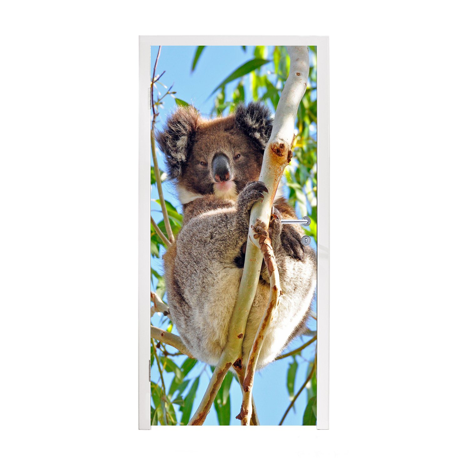 MuchoWow Türtapete Koala - Luft - Kinder - Jungen - Mädchen, Matt, bedruckt, (1 St), Fototapete für Tür, Türaufkleber, 75x205 cm