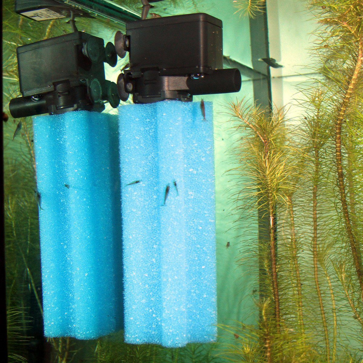 Thumbnail - JBL GmbH & Co. KG Aquarienpumpe ProFlow sf (u800,1100,2000)
