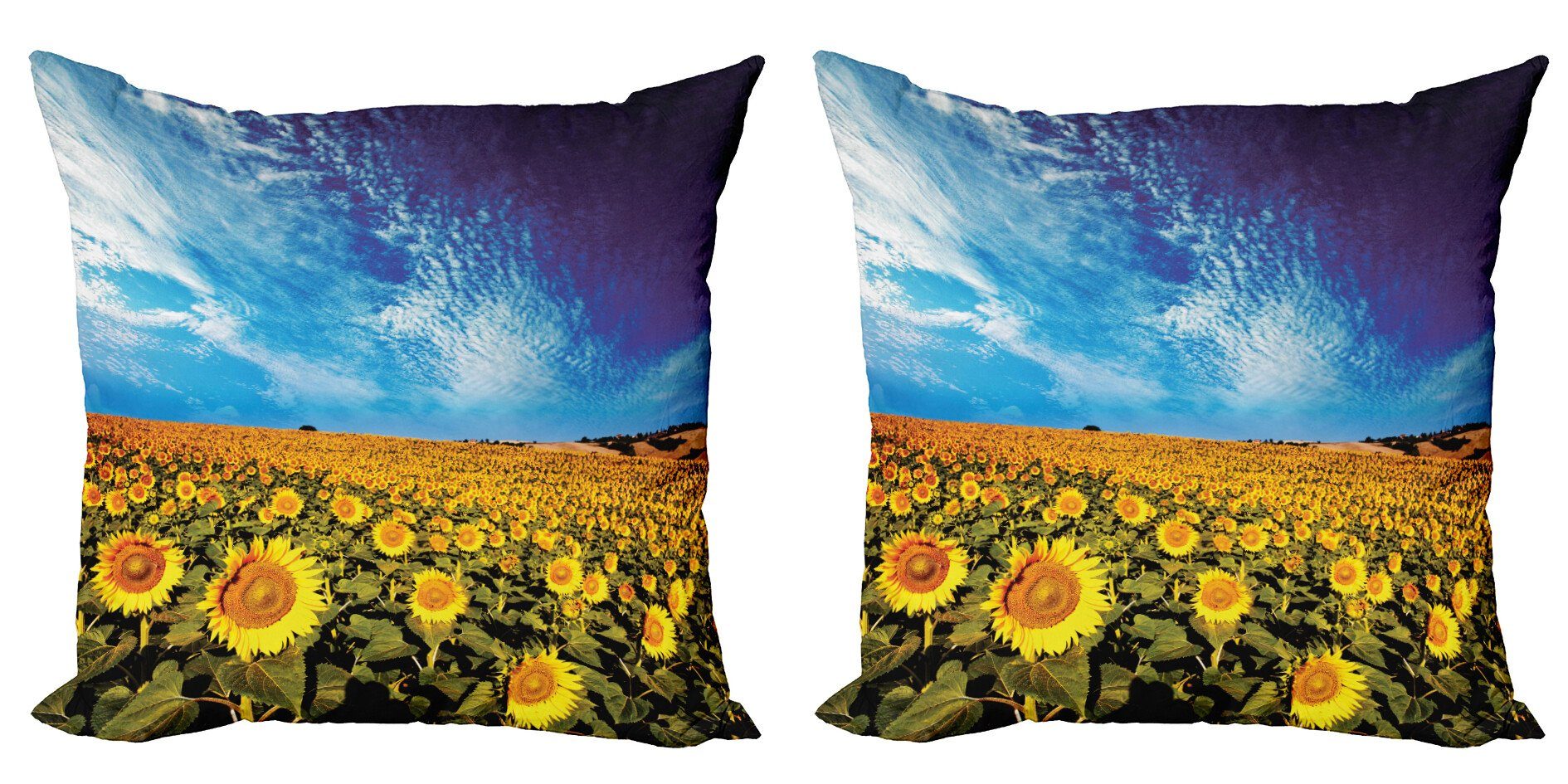 Kissenbezüge Stück), Modern Doppelseitiger Abakuhaus (2 Natur Garten Blumen Accent Digitaldruck, Sunflower