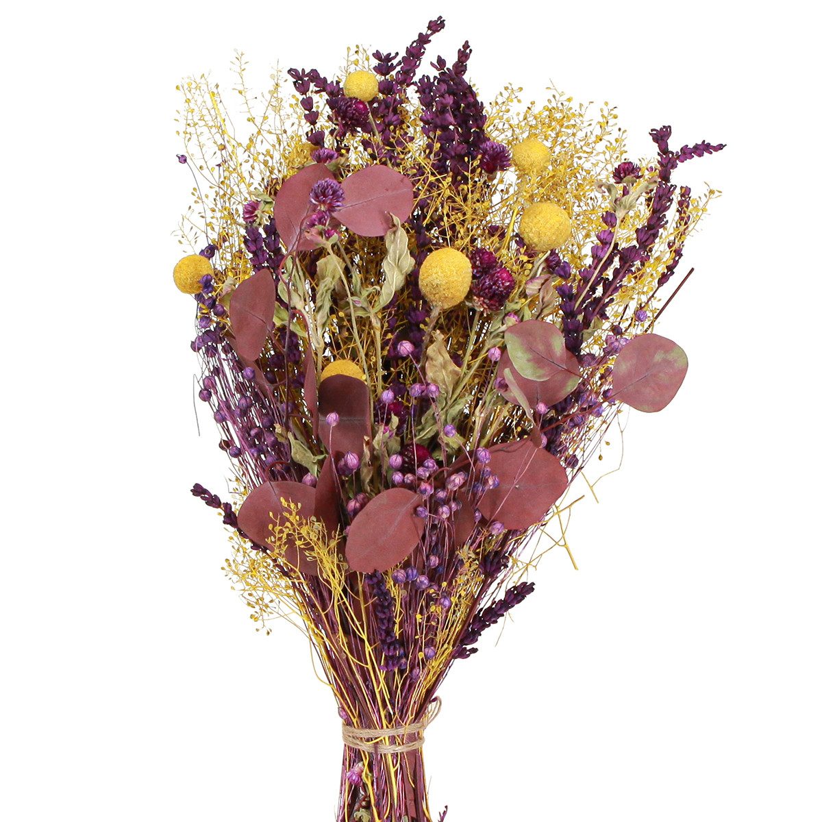 Trockenblume Trockenblumenstrauß Gelb Lila Grün mit Craspedia und Eukalyptus, Deko