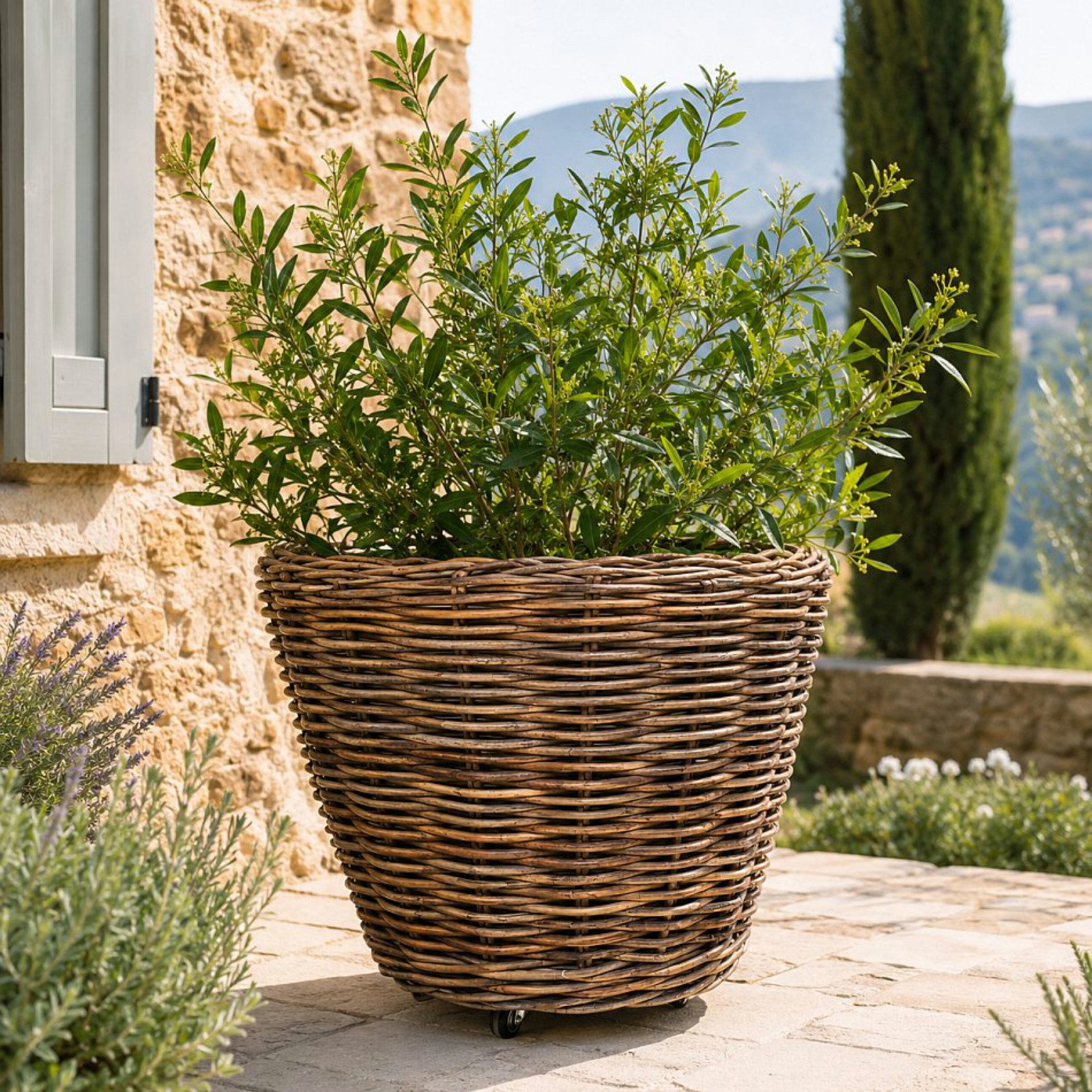 Van der Leeden Blumentopf 82x74cm Rattan Weide Sylter Korb Drypot (Stück, 1 St., Packung), Indoor & Outdoor, Naturprodukt, Rattan, inkl. Kunststoffeimer