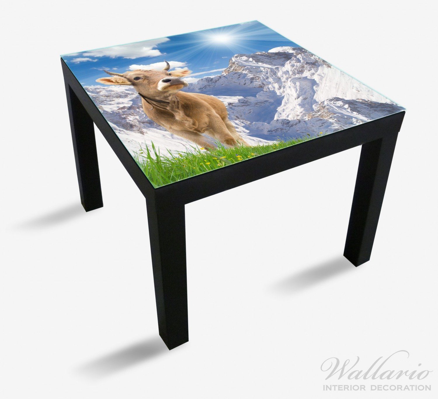 geeignet Wallario Ikea St), im Sonnenschein in Kuh Alpen (1 Tischplatte für Lack Tisch den