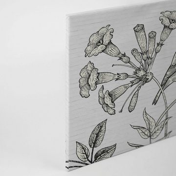 A.S. Création Leinwandbild birdy, (1 St), Schwarz-Weiß Zeichnung Floral Keilrahmen Bild