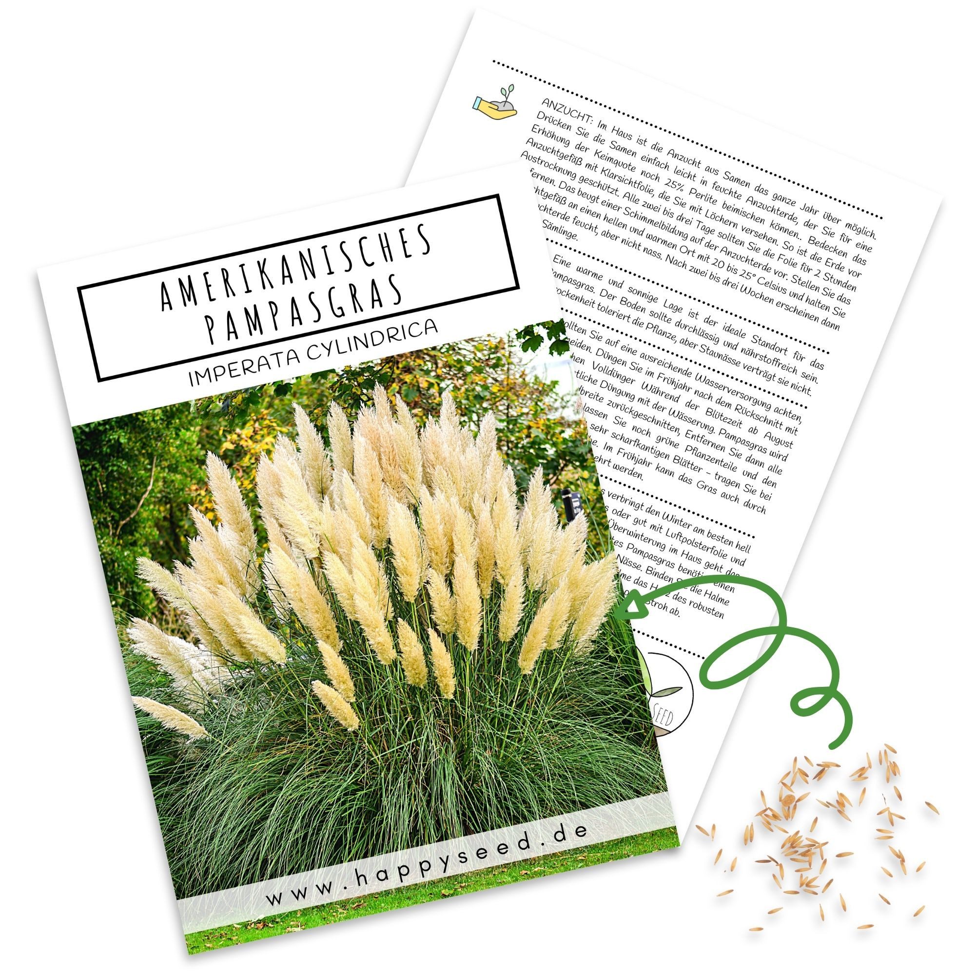 HappySeed Blumensamen Amerikanisches Pampasgras Samen - Cortaderia selloana günstig online kaufen