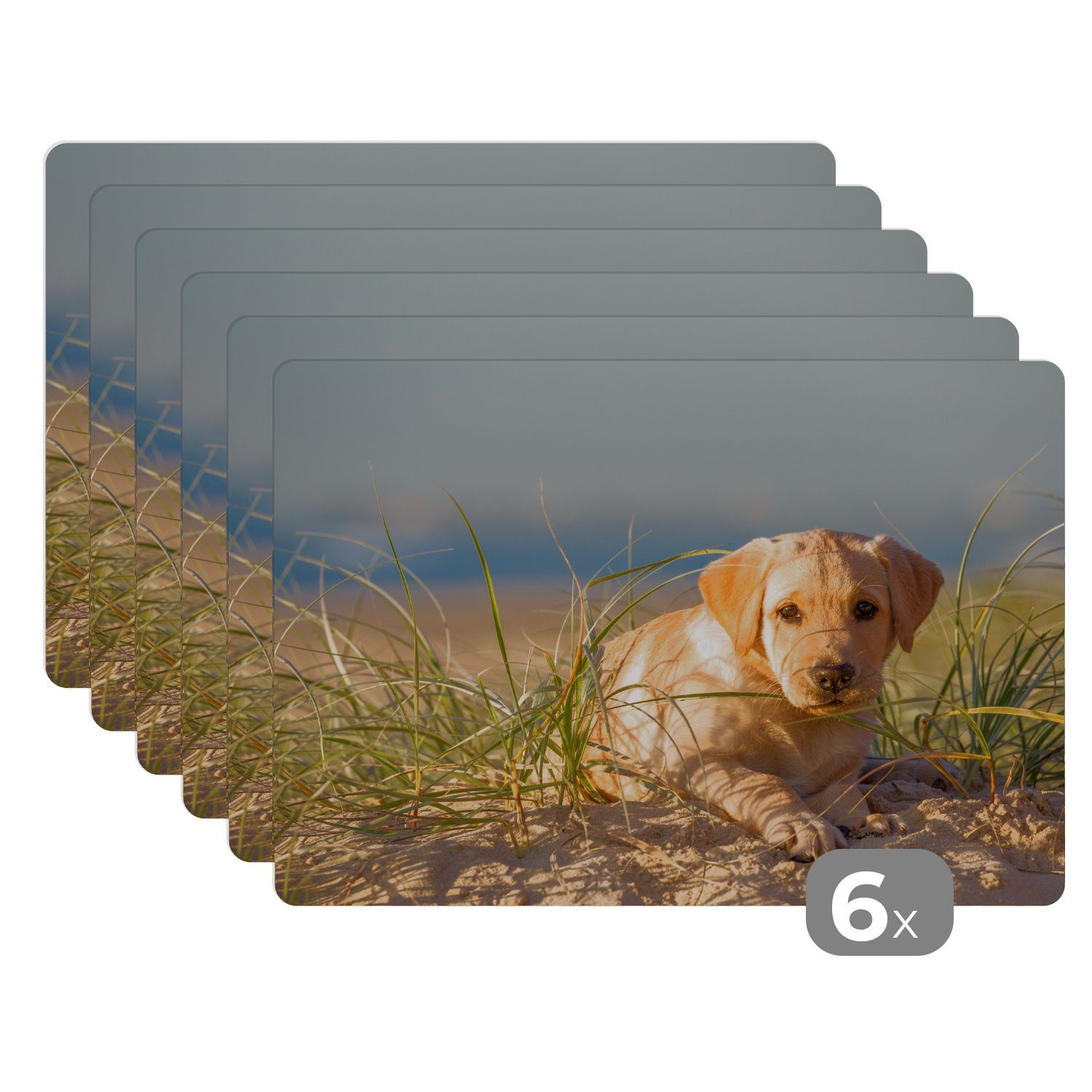 Platzset, Labrador Retriever Welpe liegt Tischmatten, den auf MuchoWow, Sanddünen, Platzmatte, Platzdecken, Schmutzabweisend (6-St), Platzset
