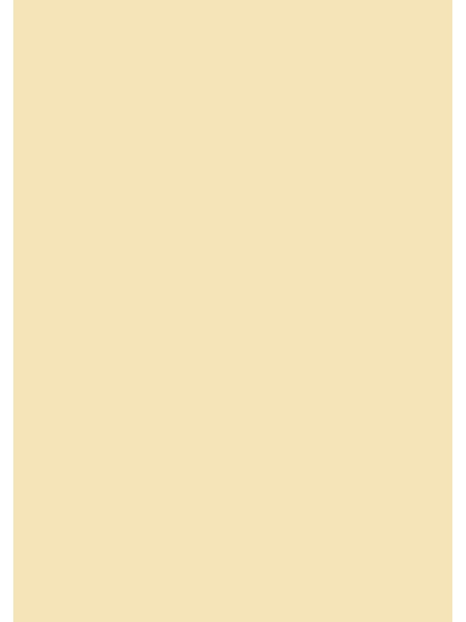 Baier Kindersitz Drucker- und Kopierpapier Multifunktionspapier A4 120 g/m² 35 Blatt Chamois matt