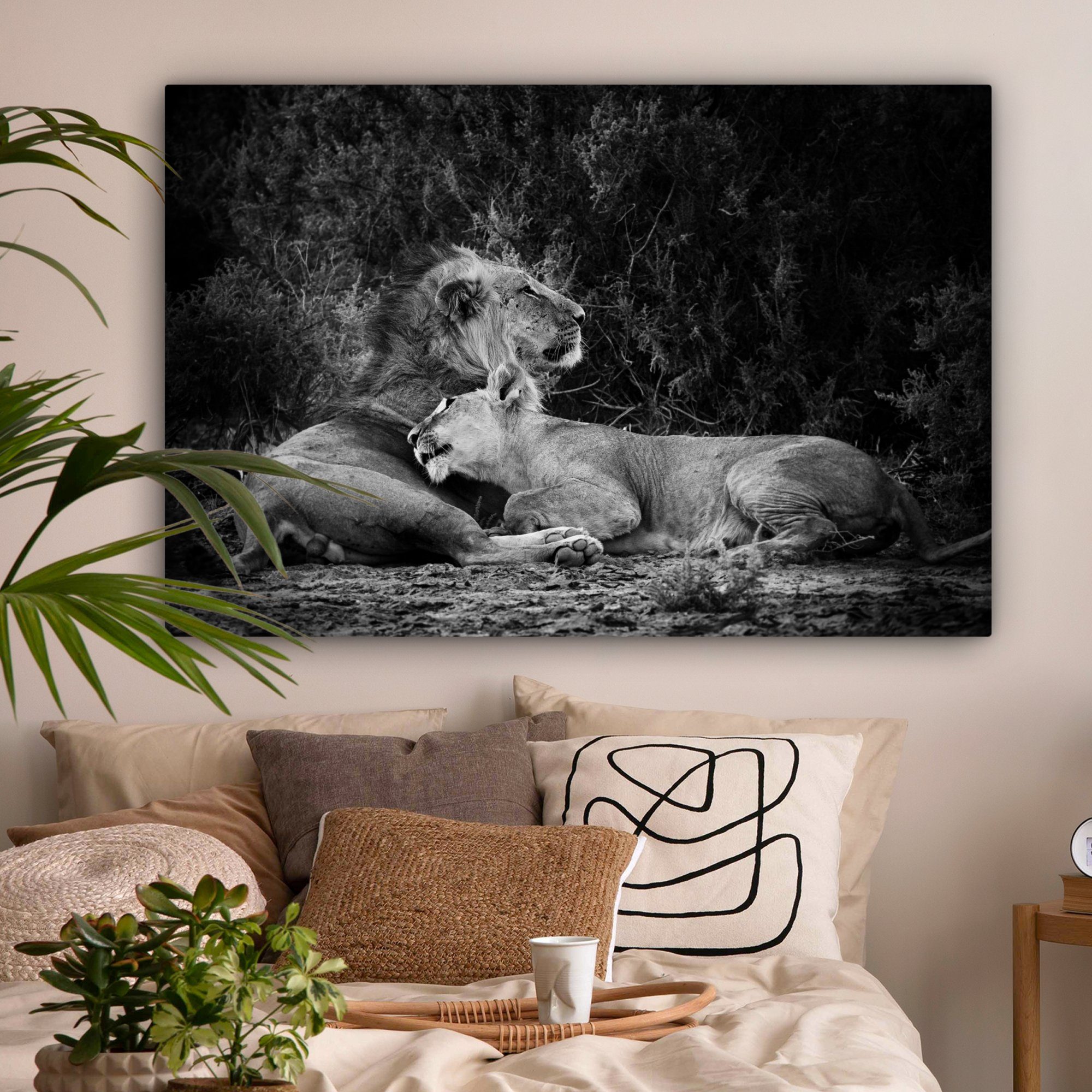 OneMillionCanvasses® Leinwandbild Löwen - für Wilde (1 St), cm Wandbild - Tiere, XXL, großes, Schwarz alle 120x80 Gemälde, Wohnbereiche
