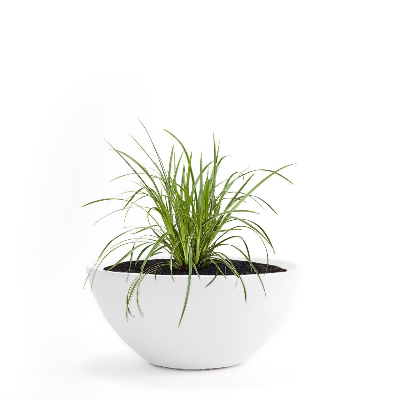 Pflanzwerk® Pflanzschale Pflanzkübel BOWL Frostbeständige Premium Blumenschale mit Lotus-Effekt, Fiberglas - Handgefertigt - Rund - Frostbeständig