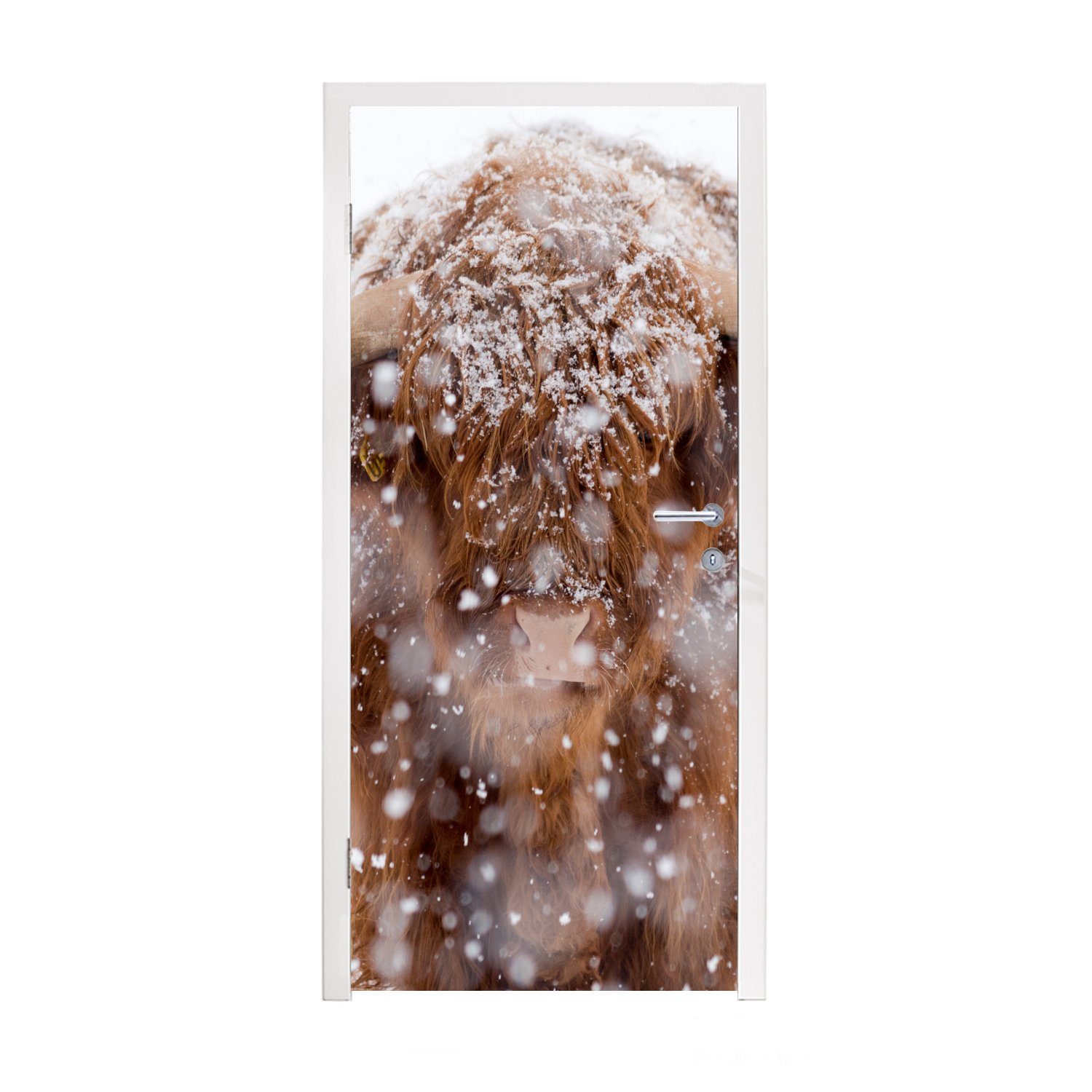 MuchoWow Türtapete Schottischer Highlander - Hörner - Schnee, Matt, bedruckt, (1 St), Fototapete für Tür, Türaufkleber, 75x205 cm
