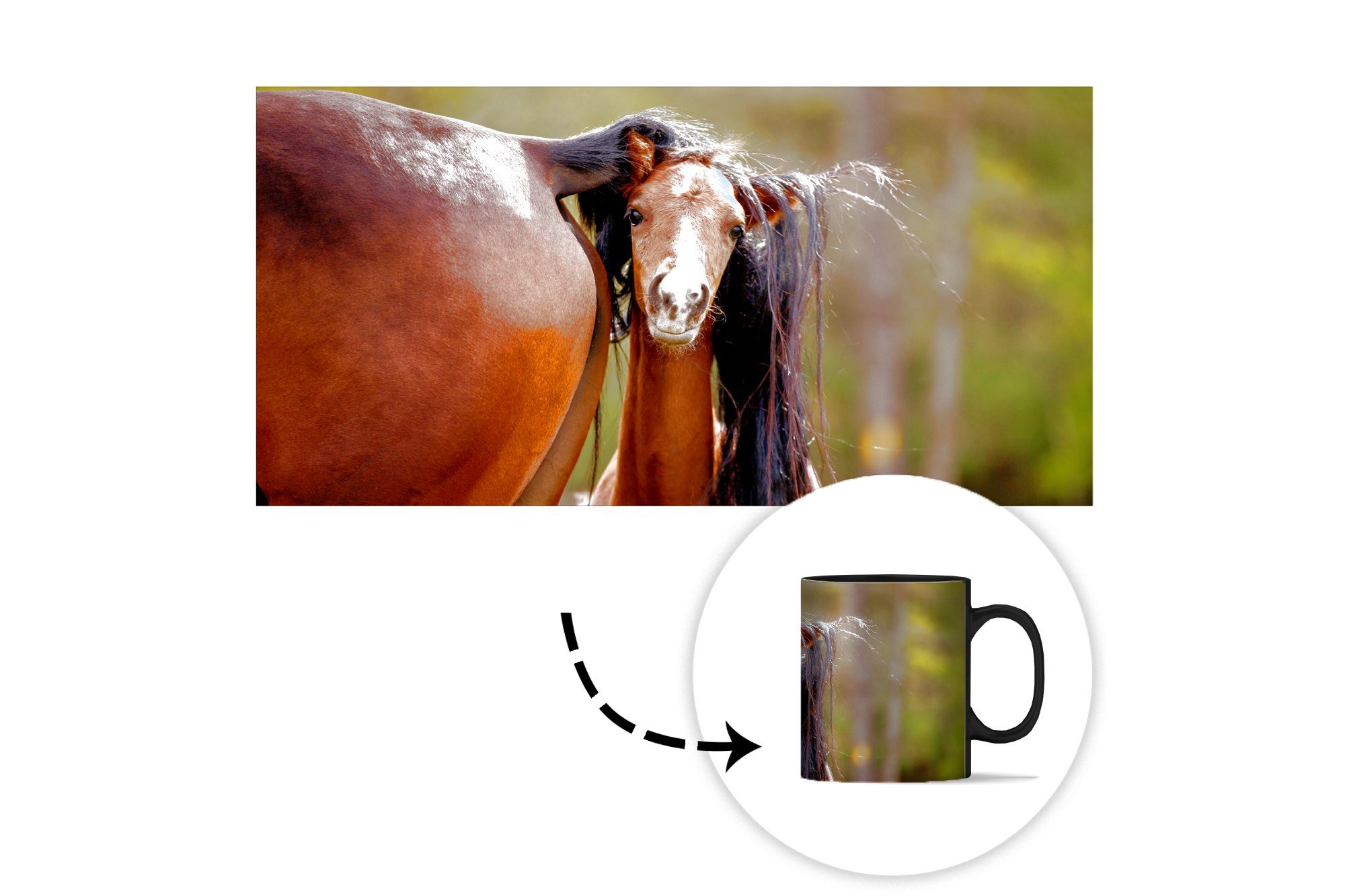 Pferde - Braun, - Kaffeetassen, Farbwechsel, Teetasse, Natur Geschenk Tasse Keramik, Zaubertasse, MuchoWow