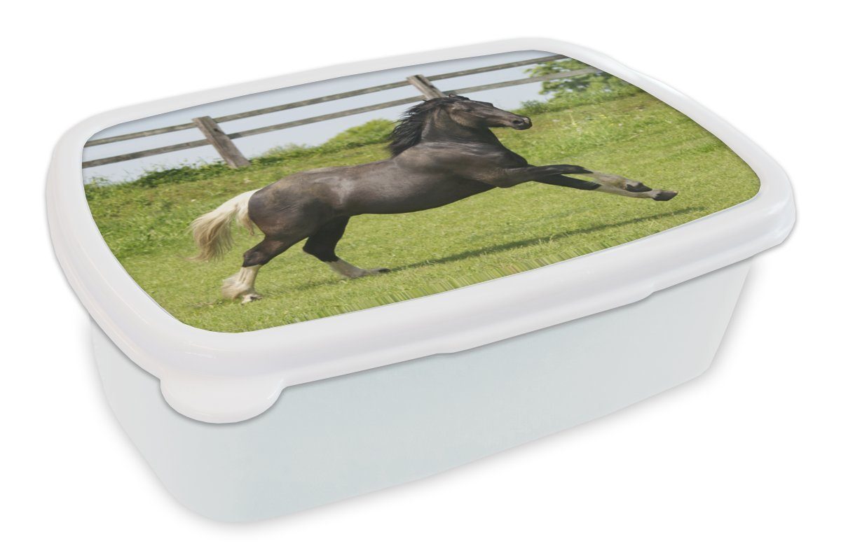 MuchoWow Lunchbox Pferde - Gras - Zaun, Kunststoff, (2-tlg), Brotbox für Kinder und Erwachsene, Brotdose, für Jungs und Mädchen weiß