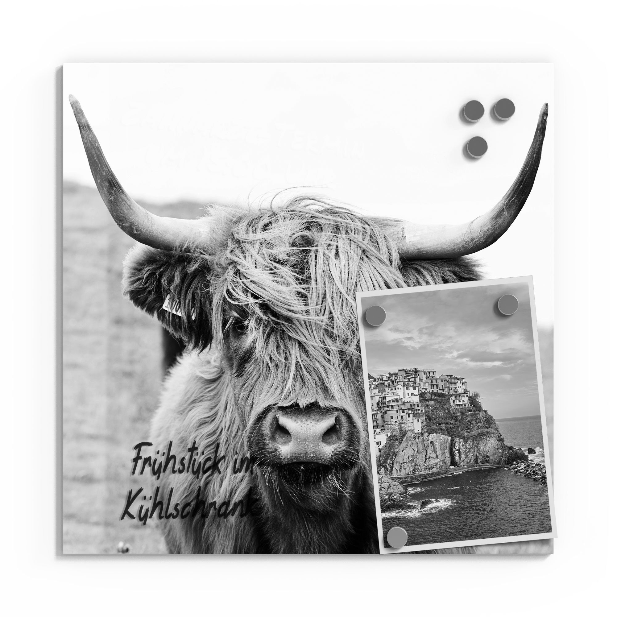 DEQORI Magnettafel 'Zotteliges Hochlandrind', Whiteboard Pinnwand günstig online kaufen
