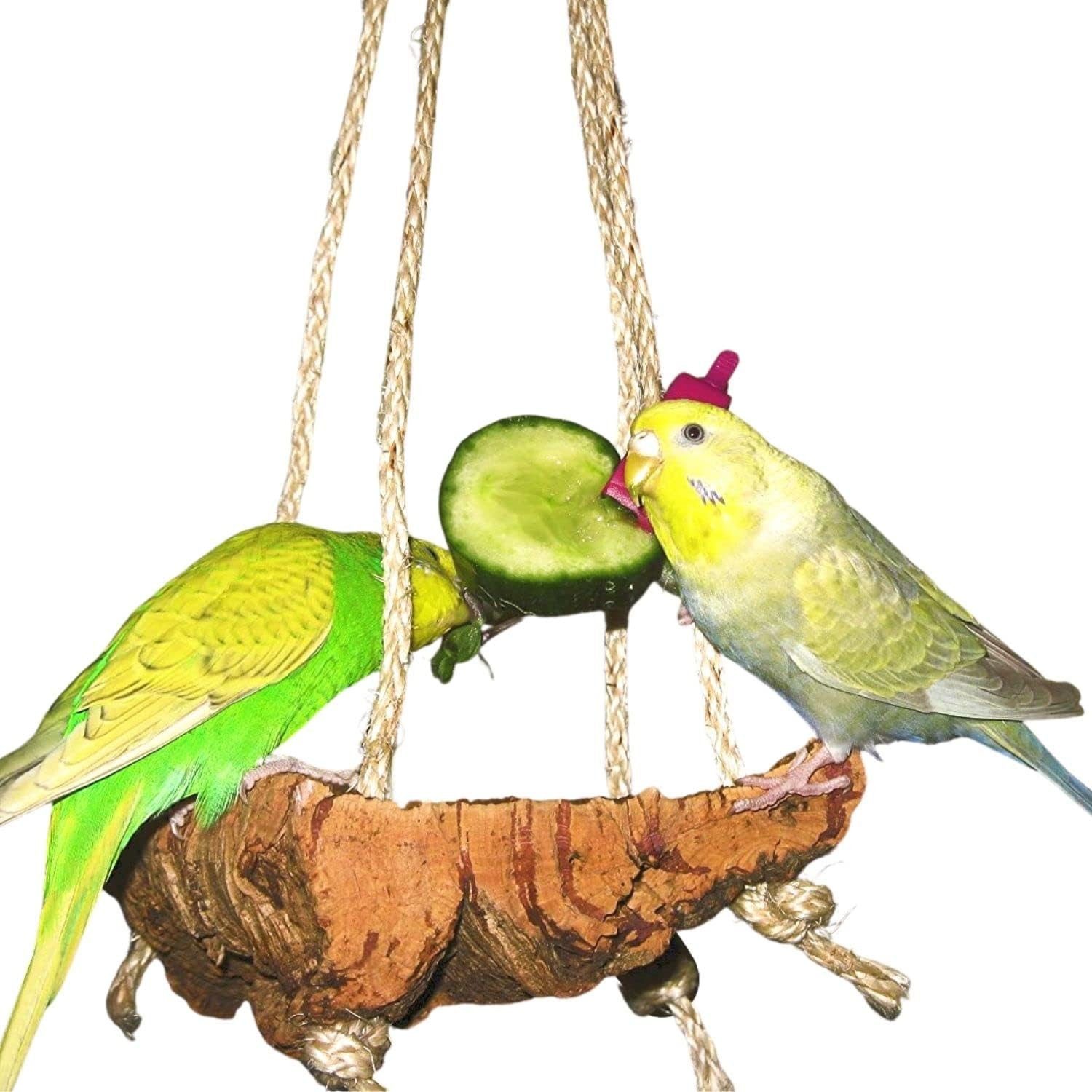halmland Vogelspielplatz Korkschaukel Wellensittich Vogelschaukel aus Kork Vogelzubehör von halmland