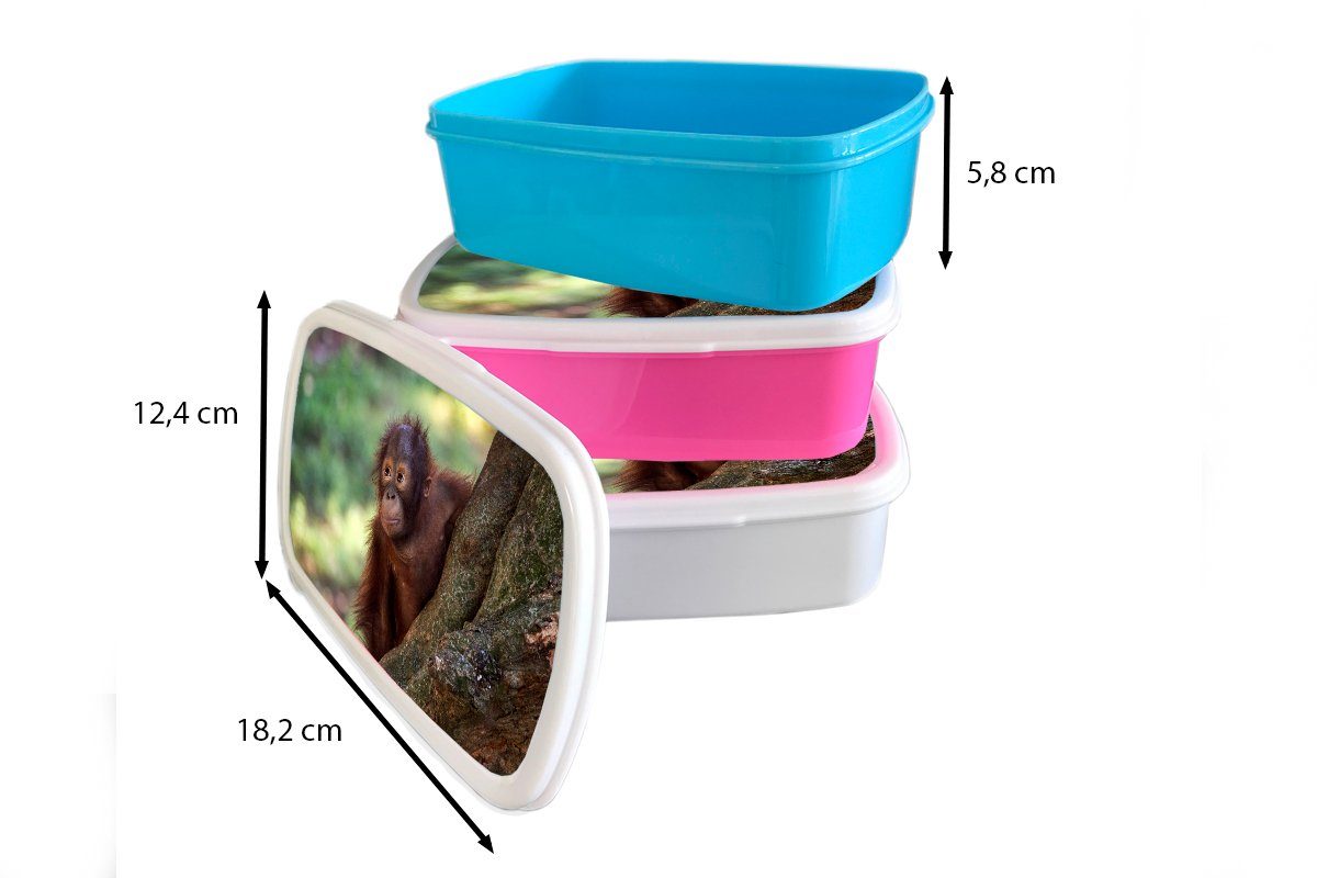 MuchoWow Snackbox, Brotdose (2-tlg), Kunststoff - Lunchbox Baby rosa - Kunststoff, Kinder, Erwachsene, Baum, Mädchen, für Orang-Utan Brotbox