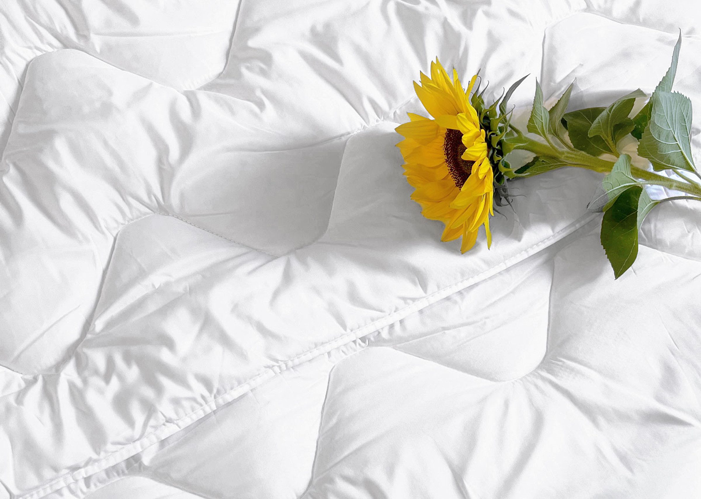 ZOLLNER Microfaserbettdecke, Bezug: 100% Polyester, 135 x 200 cm, 100% Polyester, vom Hotelwäschespezialisten