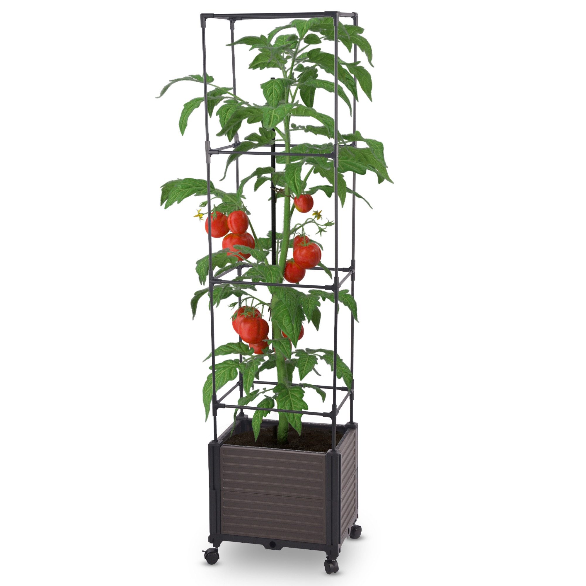 blumenkasten mit windschutz Mobiler Windschutz mit Pflanzkasten 150cm Sicherheitsglas Made in Germ –  Trendyshop365 main image 1
