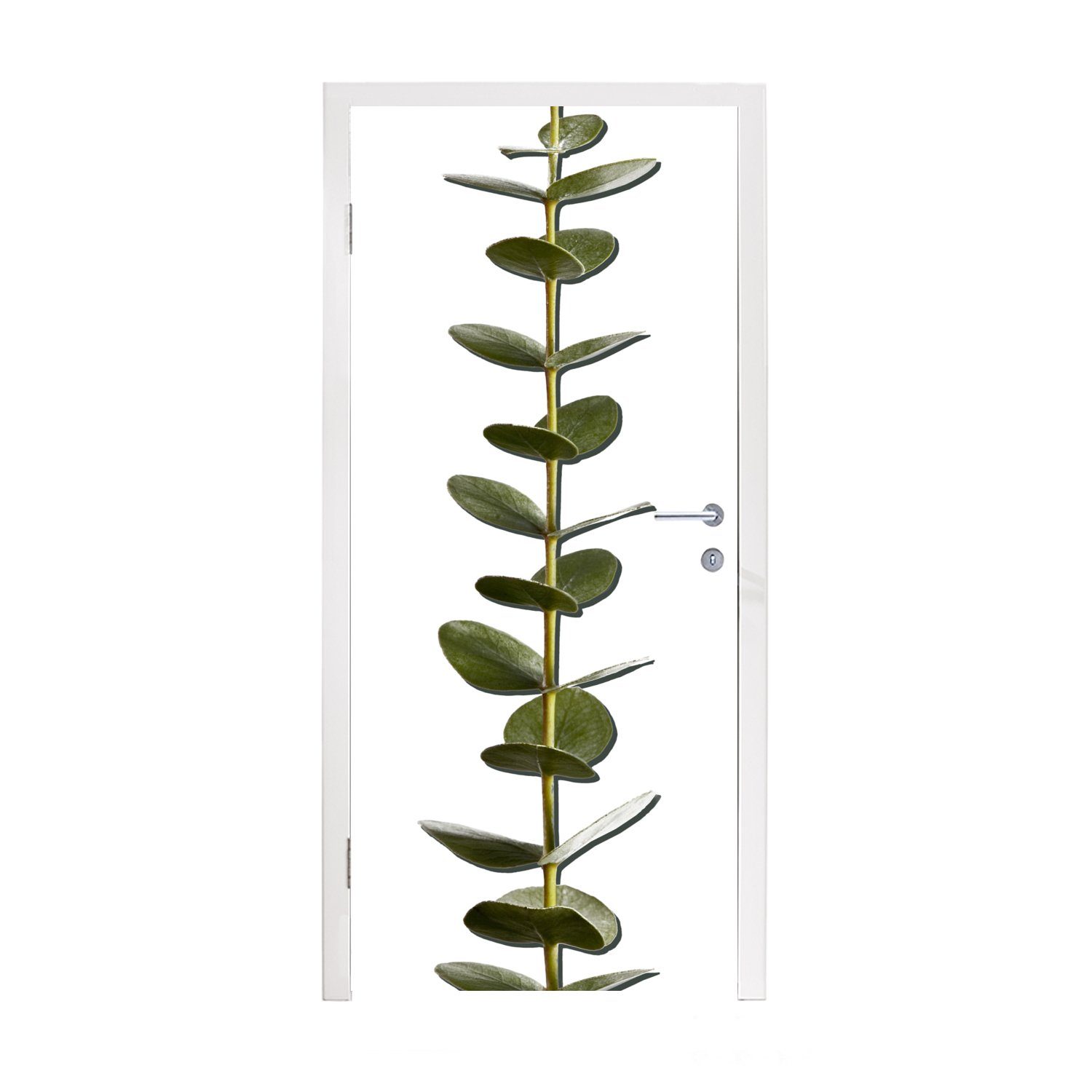 Matt, cm Türtapete MuchoWow mit (1 St), Tür, bedruckt, Blättern, Eukalyptusstamm 75x205 Türaufkleber, für Fototapete