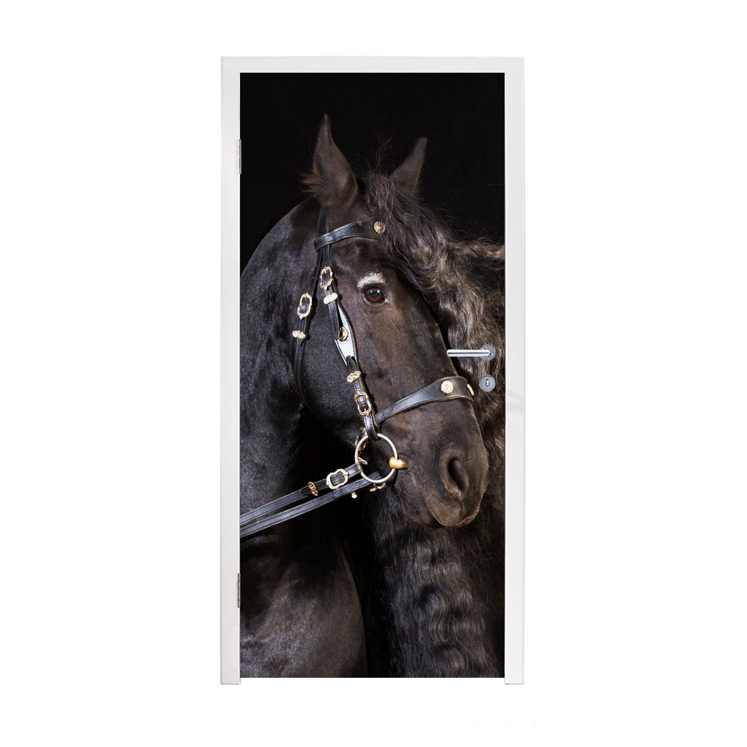 MuchoWow Türtapete Pferd - Halfter - Mähne, Matt, bedruckt, (1 St), Fototapete für Tür, Türaufkleber, 75x205 cm