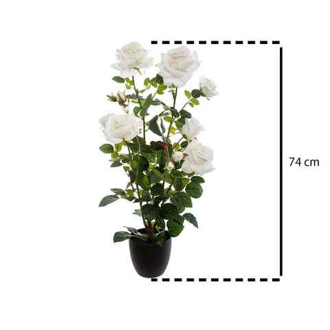 Kunstpflanze Zimmerpflanze, Atmosphera Créateur d'intérieur, Höhe 74 cm