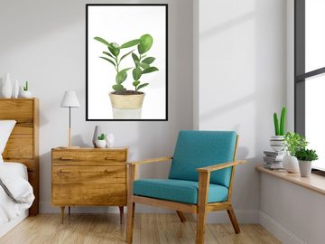 Artgeist Poster Plant In Pot []