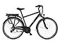 Telefunken E-Bike »Expedition XT481«, 21 Gang Shimano, Heckmotor 250 W, mit Fahrradtasche, Bild 2