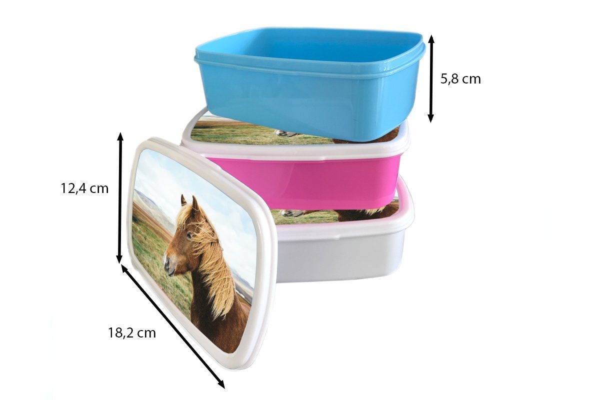 MuchoWow Lunchbox Pferd - Natur (2-tlg), Brotbox Brotdose, - für Kinder und Island, Jungs Mädchen und Erwachsene, weiß für Kunststoff