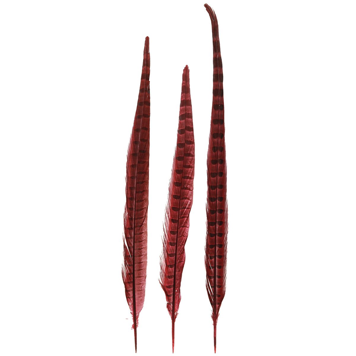 Osterfigur Fasanenfedern Rot Echt Natürliche Deko 35-45cm 9 Stk