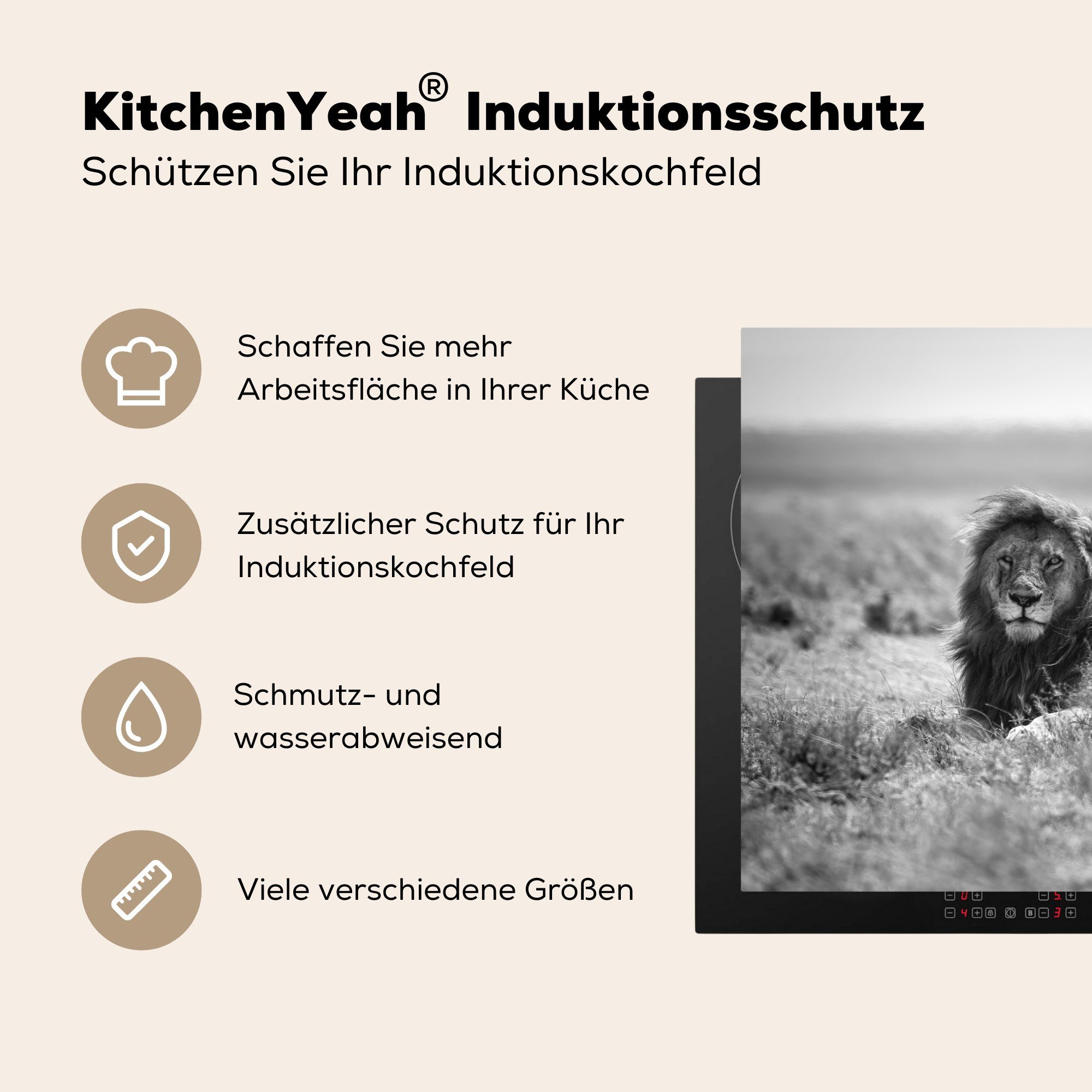 Schwarz Induktionskochfeld Löwen zwischen die cm, und in Schutz Herdblende-/Abdeckplatte für Ceranfeldabdeckung küche, Freundschaft 81x52 Vinyl, (1 MuchoWow zwei tlg), Weiß,