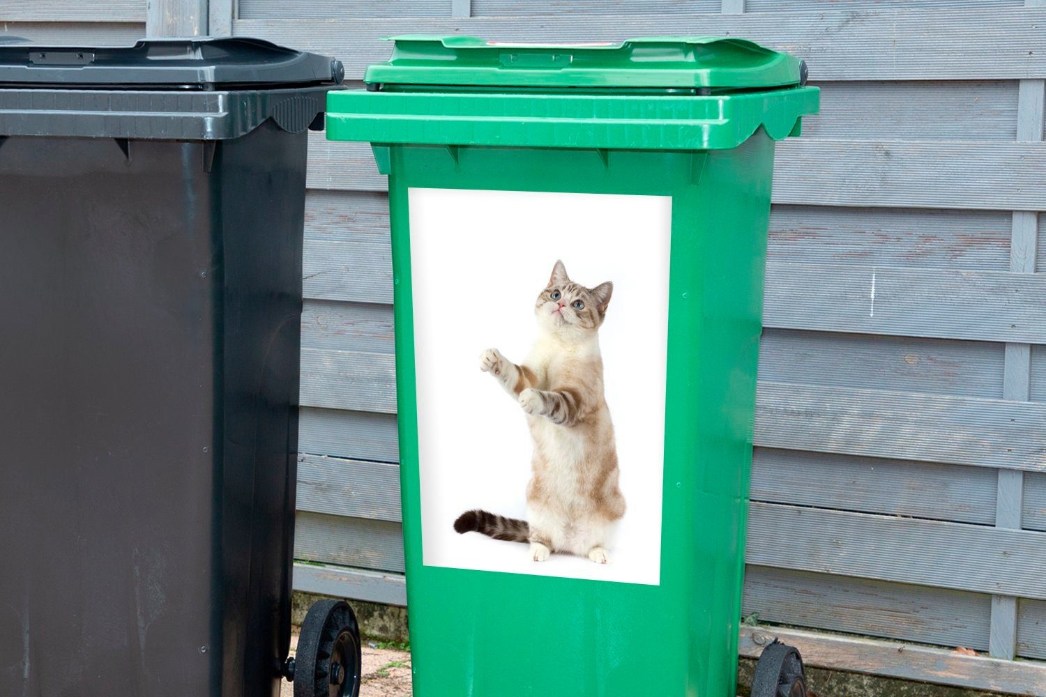 MuchoWow Wandsticker Katze Container, auf Mülleimer-aufkleber, Hinterbeinen Abfalbehälter St), Mülltonne, stehend Sticker, (1 den