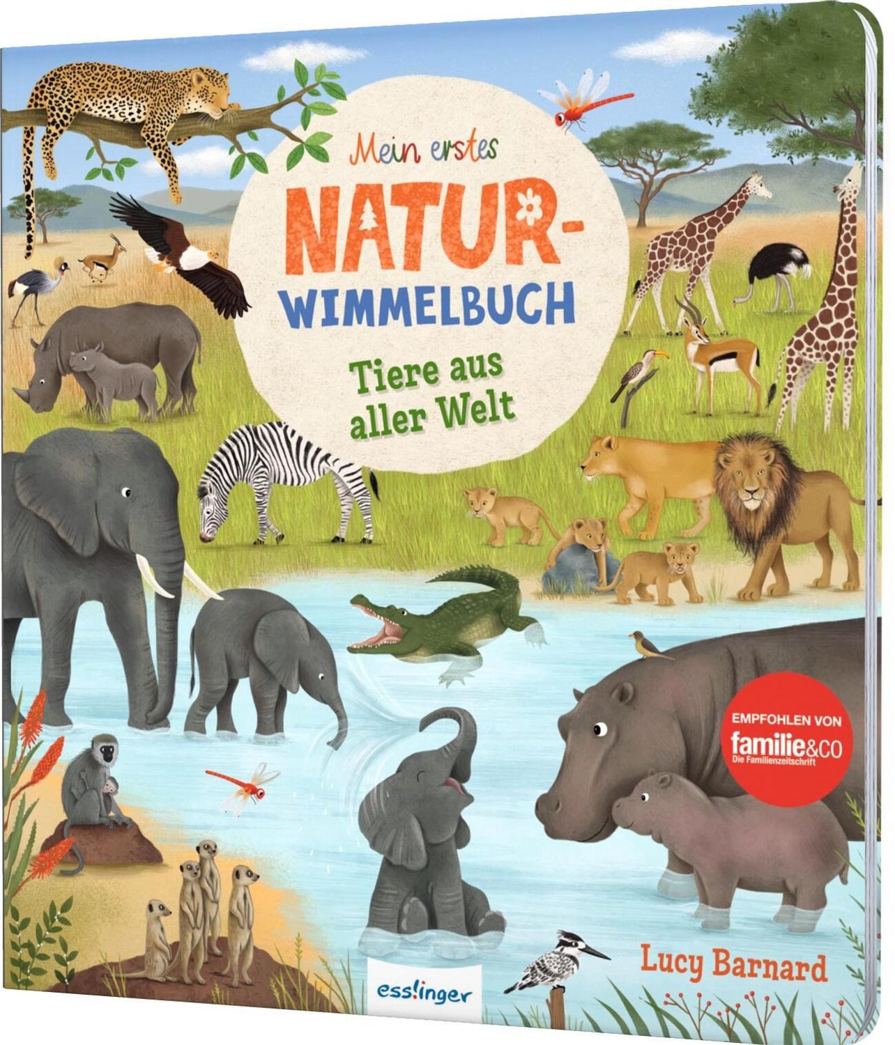 Kinderbuch Mein erstes Natur-Wimmelbuch: Tiere aus aller Welt Mit Suchaufgaben & Katharina Lotz