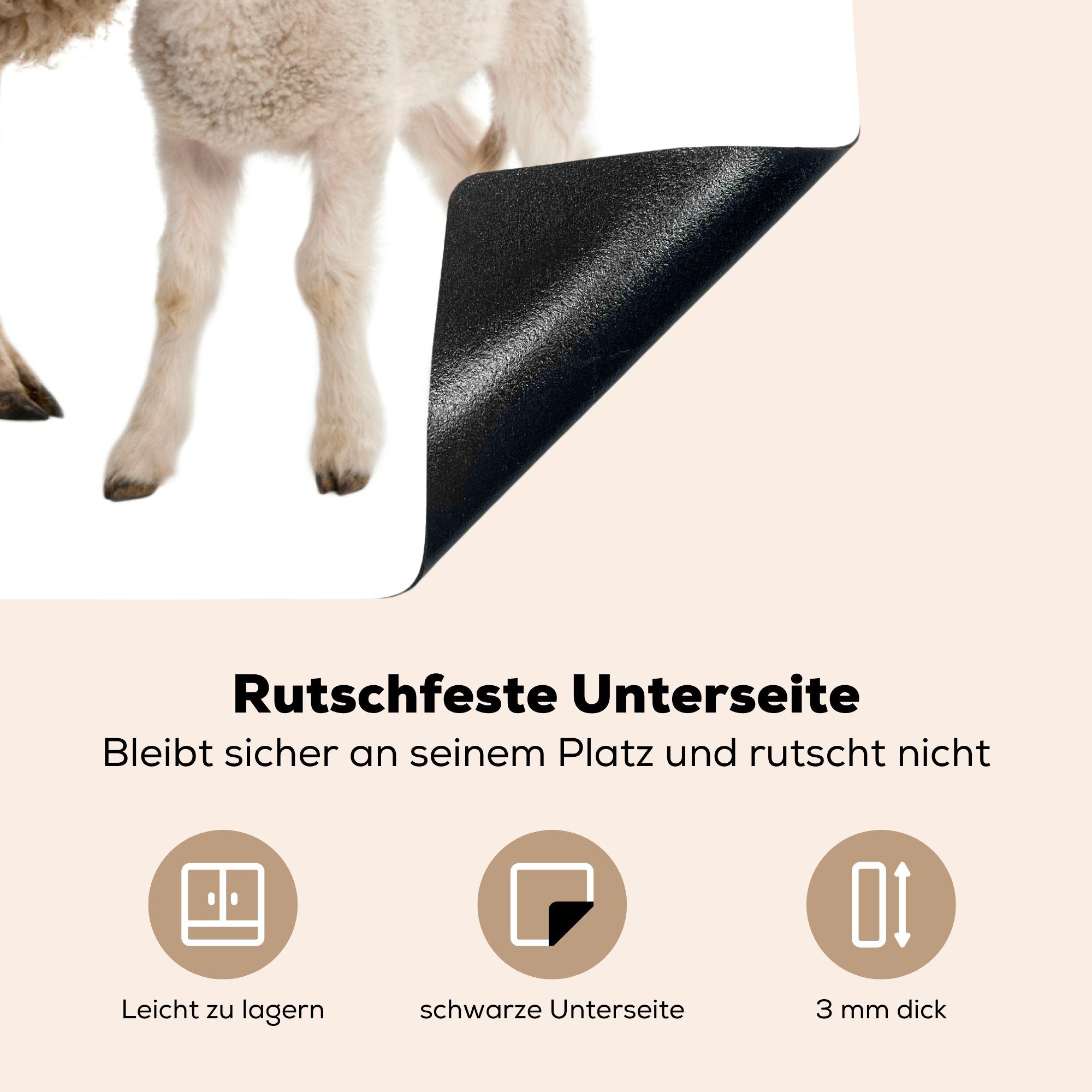 MuchoWow Herdblende-/Abdeckplatte Schafe - Tiere (1 Induktionskochfeld tlg), Schutz küche, Vinyl, Lamm, die 71x52 Ceranfeldabdeckung cm, - für
