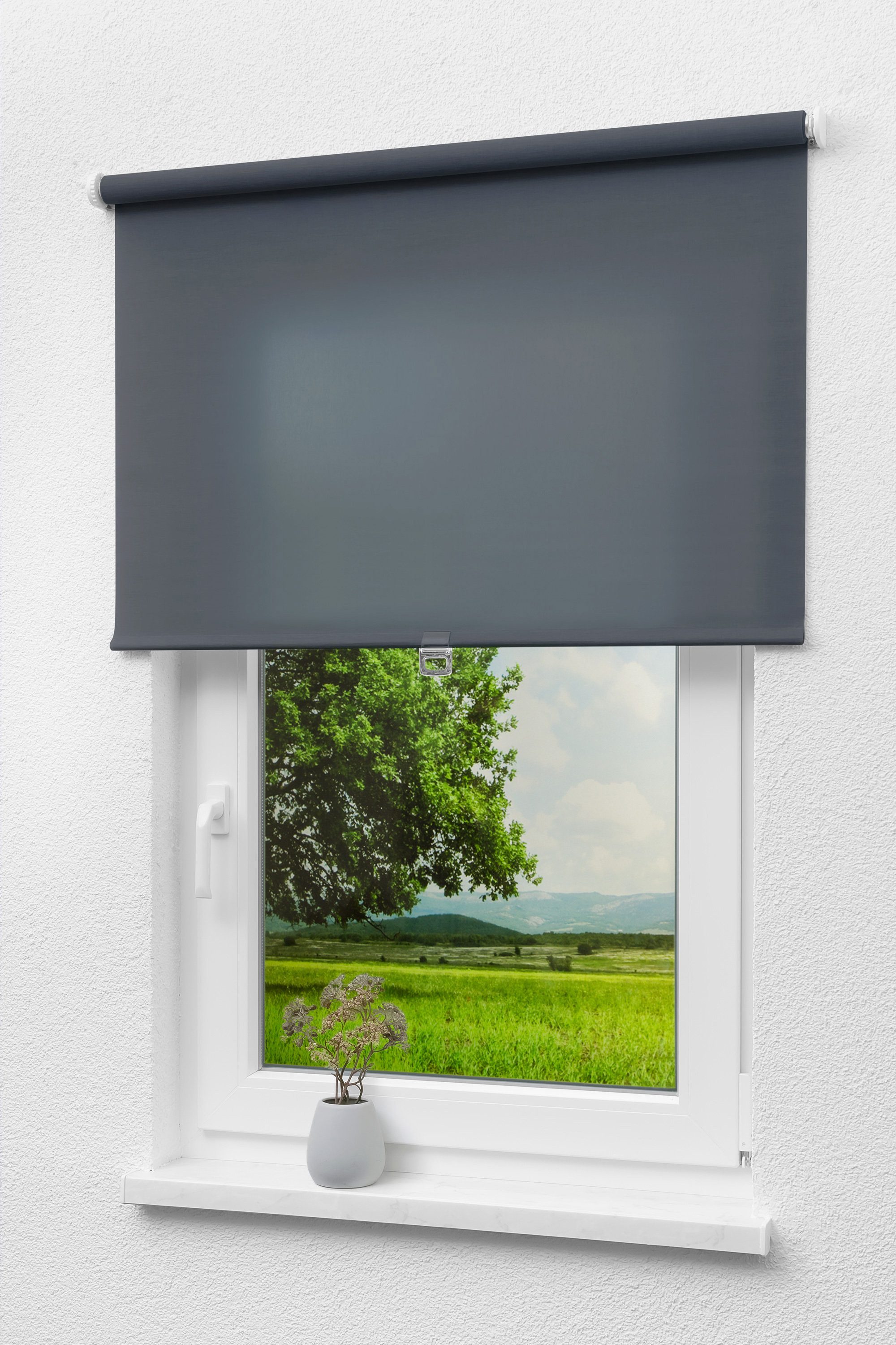 Rollo Qualitätsspringrollo Tageslicht Dunkelg, LYSEL®, blickdicht, HxB 190x62cm