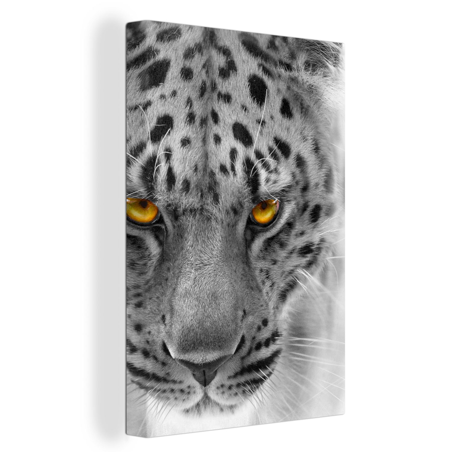 OneMillionCanvasses® Leinwandbild Leopard - Schwarz - Weiß - Gelb, (1 St), Leinwandbild fertig bespannt inkl. Zackenaufhänger, Gemälde, 20x30 cm | Leinwandbilder