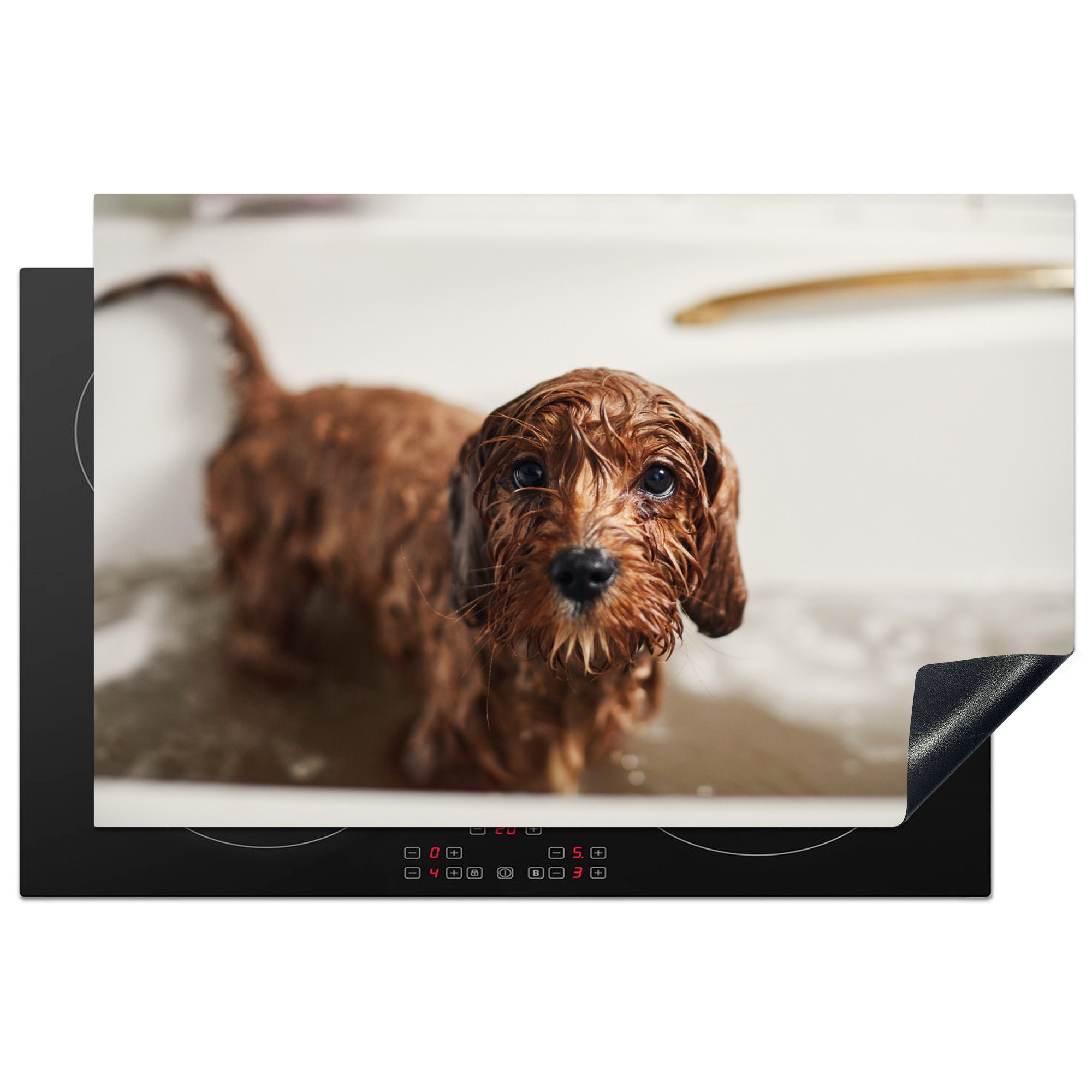 MuchoWow Herdblende-/Abdeckplatte Nasser Hund in der Badewanne, Vinyl, (1 tlg), 81x52 cm, Induktionskochfeld Schutz für die küche, Ceranfeldabdeckung