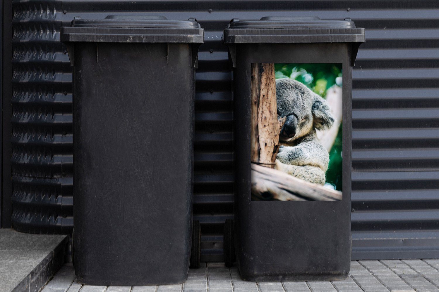 MuchoWow - Mülltonne, Container, Mülleimer-aufkleber, (1 Wandsticker Koala Baum St), Sticker, Tier - Abfalbehälter