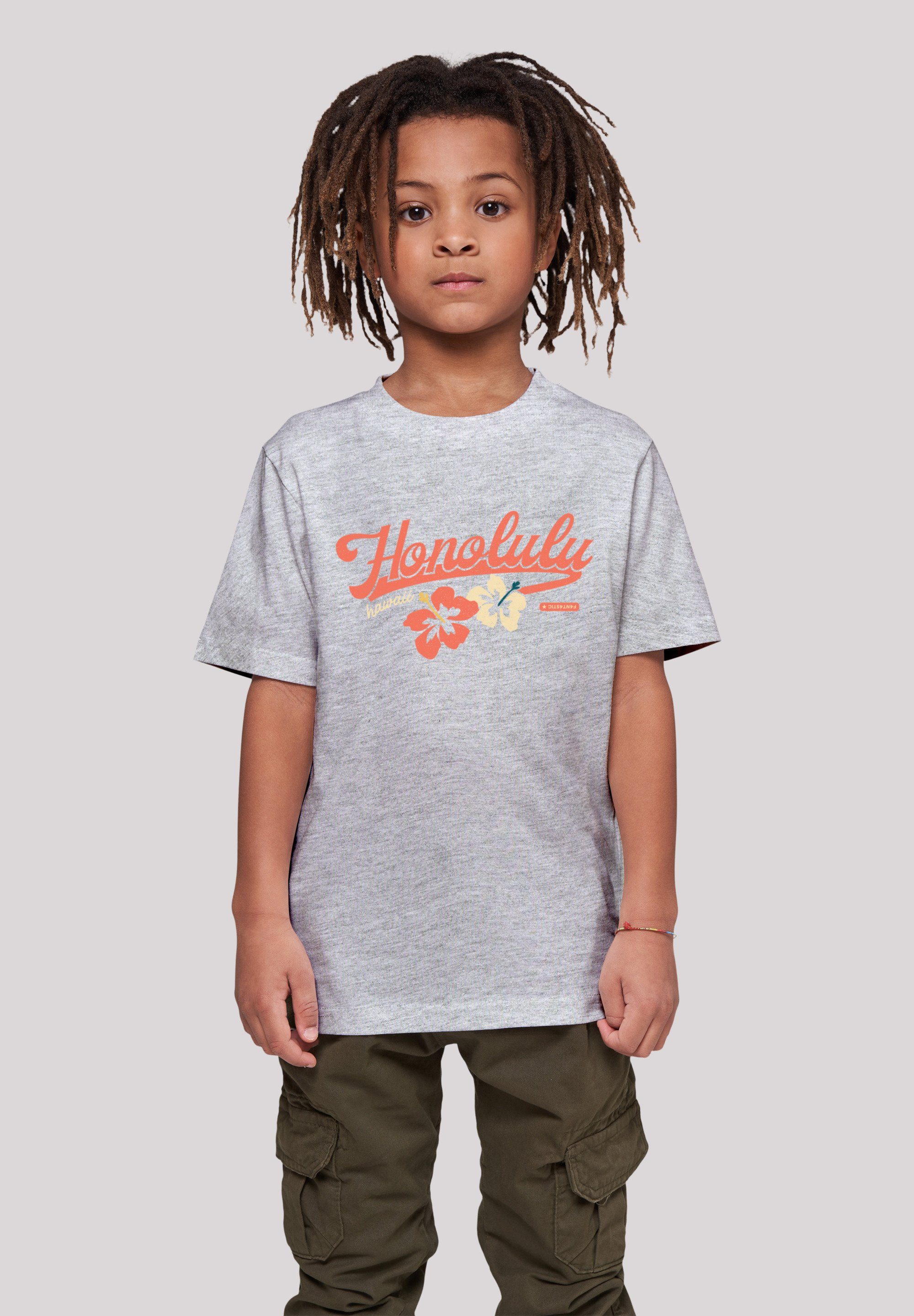 F4NT4STIC T-Shirt Honolulu Print heather grey