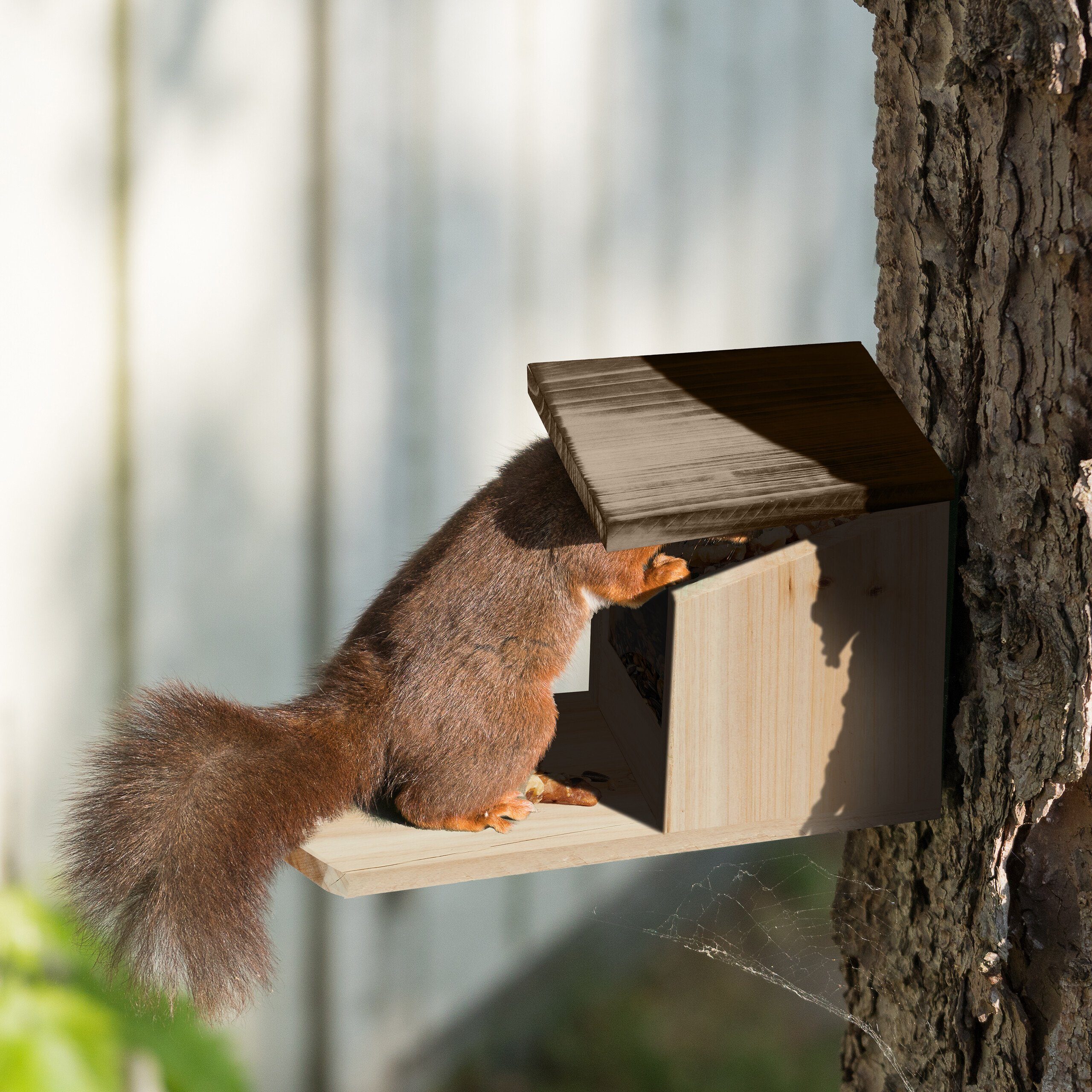 Eichhörnchen Holz relaxdays aus Eichhörnchenkobel Futterhaus