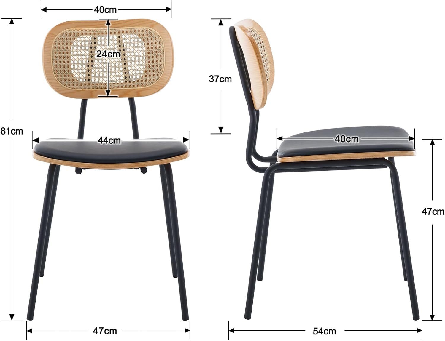 CHAIRUS Esszimmerstuhl 2er-Set, Rattan-Küchenstuhl Wohnzimmerstuhl (2 St), mit Metallbeinen & PU-Leder