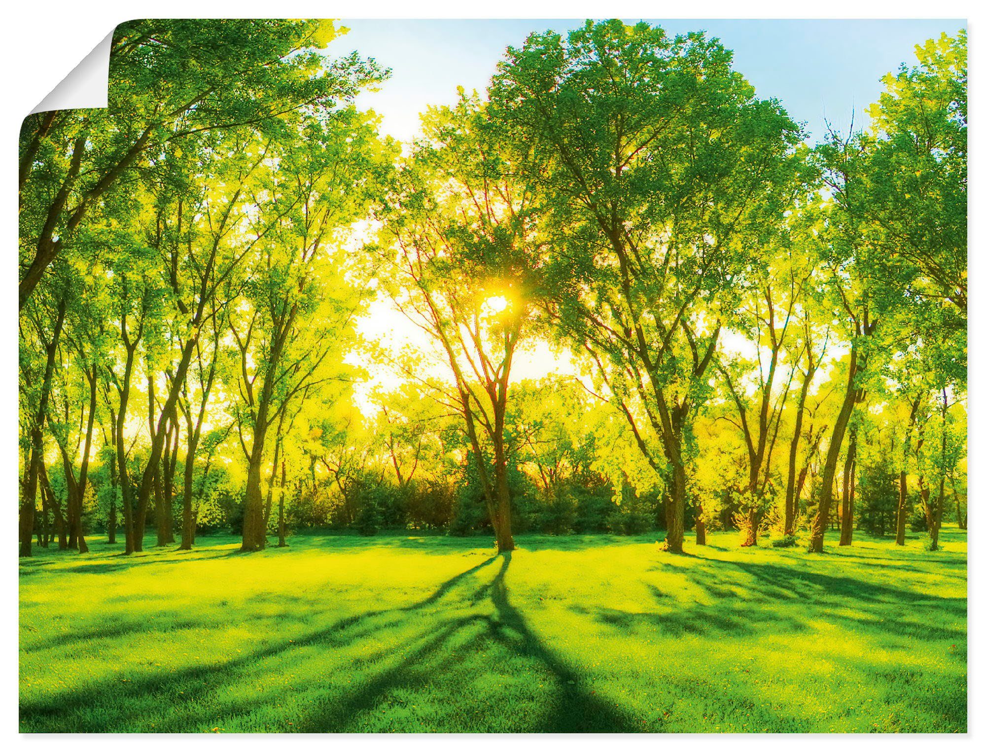 Artland Wandbild Frühlingswärme II, Wiesen & Bäume (1 St), gedruckt