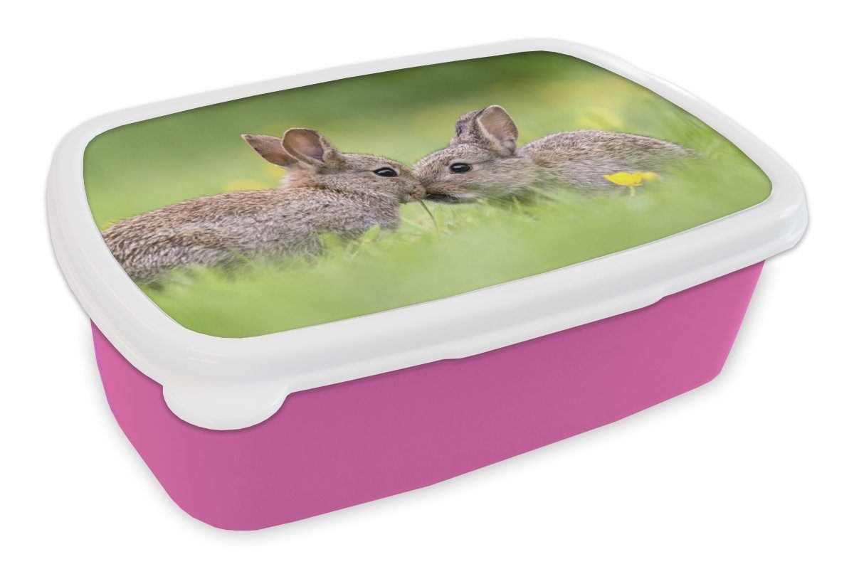 Kunststoff Snackbox, Schnauzen Zwei Erwachsene, Kaninchen für Lunchbox Brotdose rosa ihren MuchoWow gegeneinander, Kinder, (2-tlg), Mädchen, Kunststoff, Brotbox mit