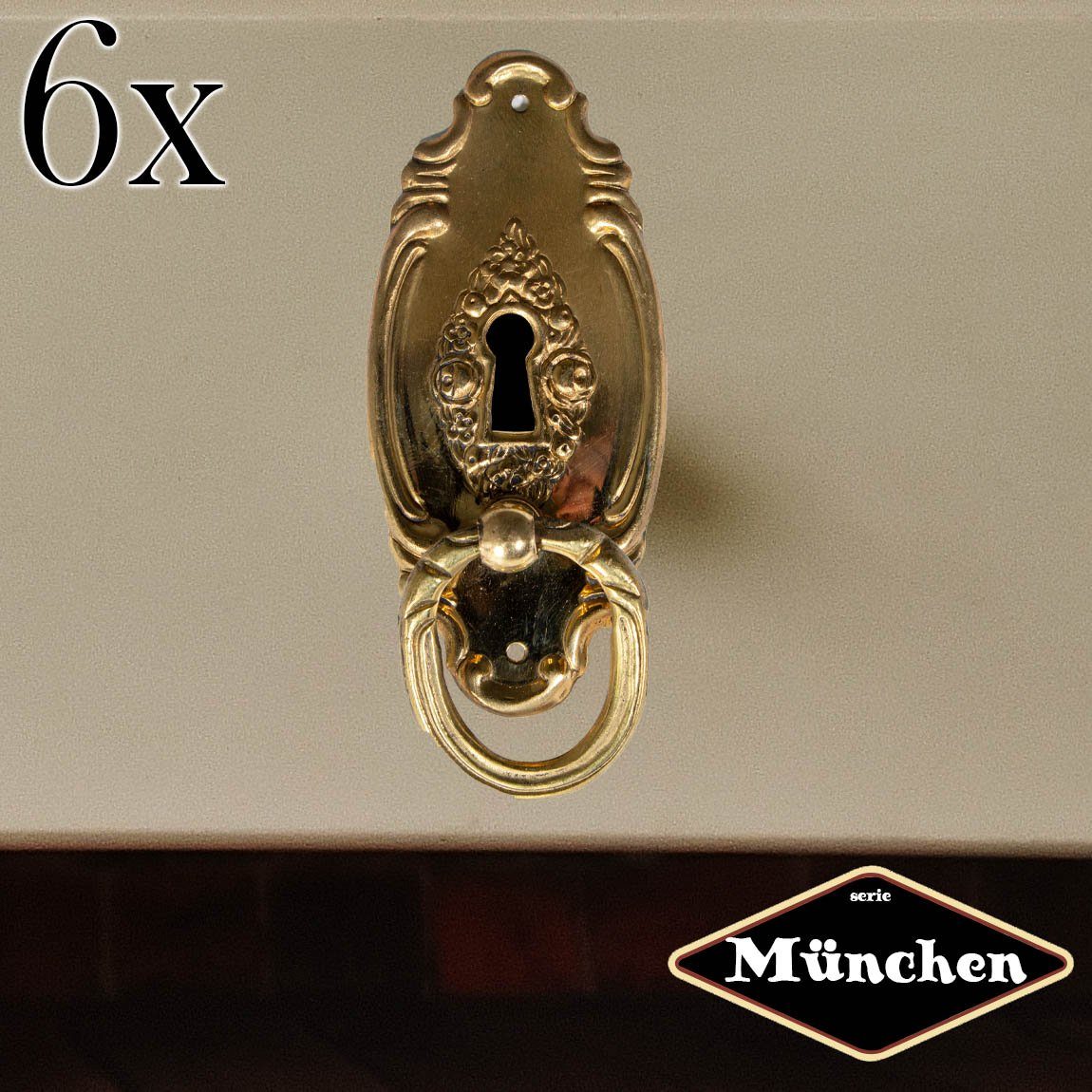 Möbelbeschlag Schlüsselplatte mit Griff, Eisen in Messing gl., Serie "München", 6er