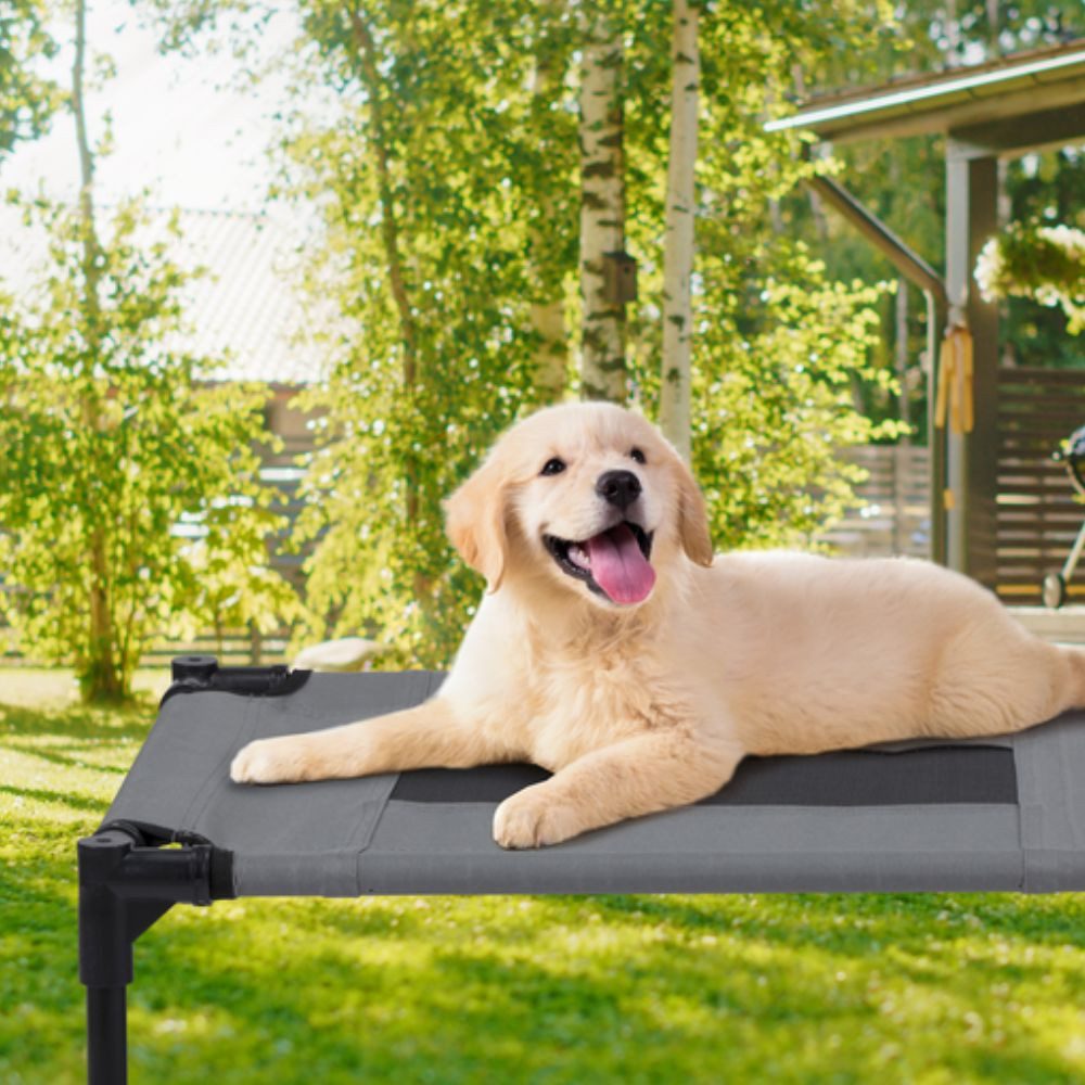 maxxpro Hundebett maxxpro Hundebett auf Beinen