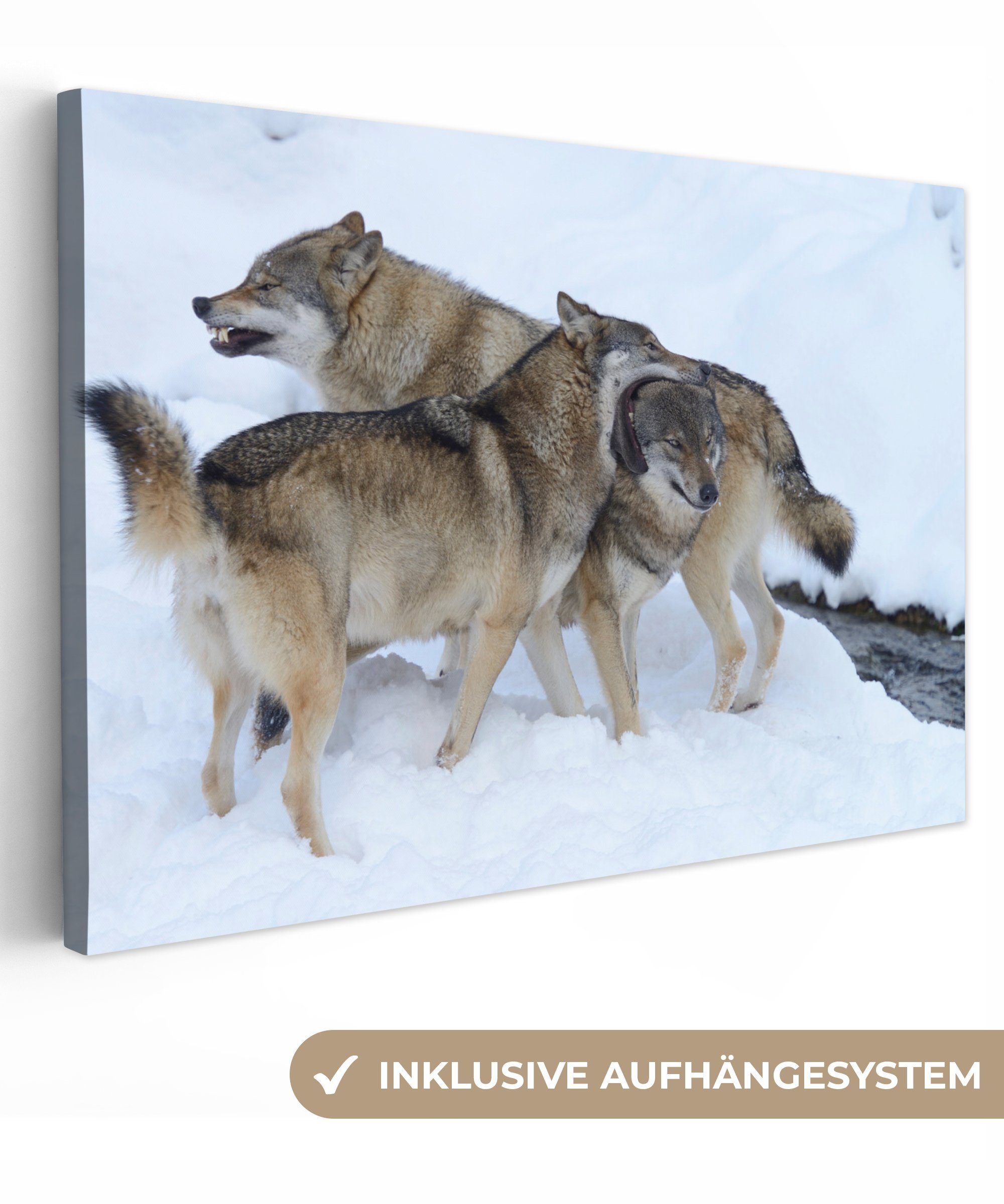OneMillionCanvasses® Leinwandbild Wolf - Europa - Schnee, (1 St), Wandbild Leinwandbilder, Aufhängefertig, Wanddeko, 30x20 cm