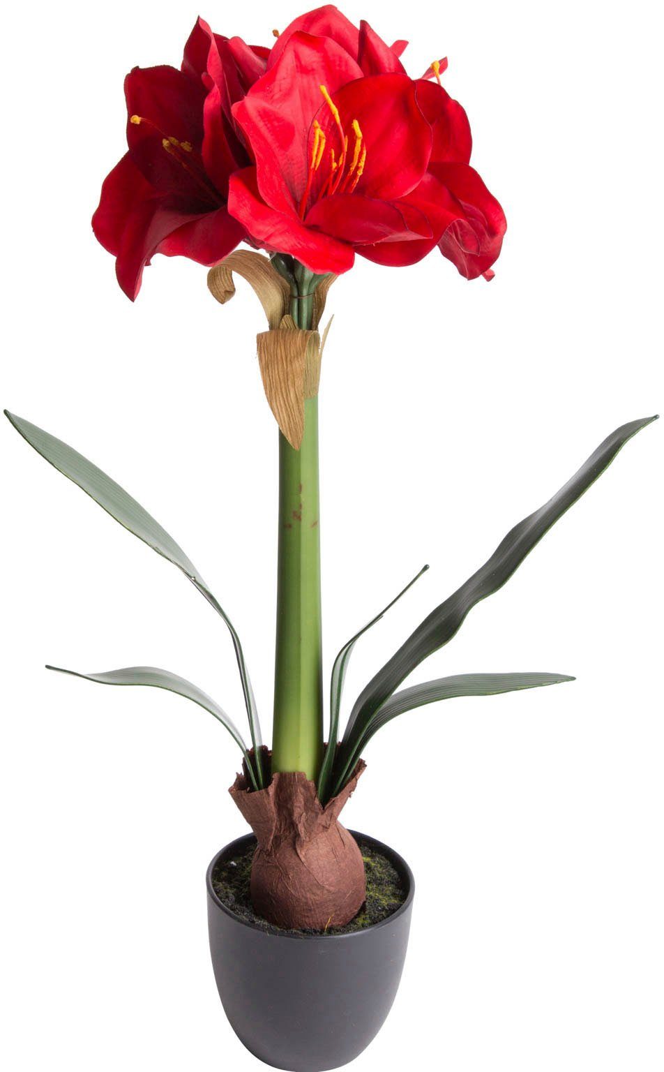 Kunstblume ohne Amaryllis Amaryllis, dekorativen Im Topf zusätzlichen Botanic-Haus, 57 Höhe Aufwand - cm,