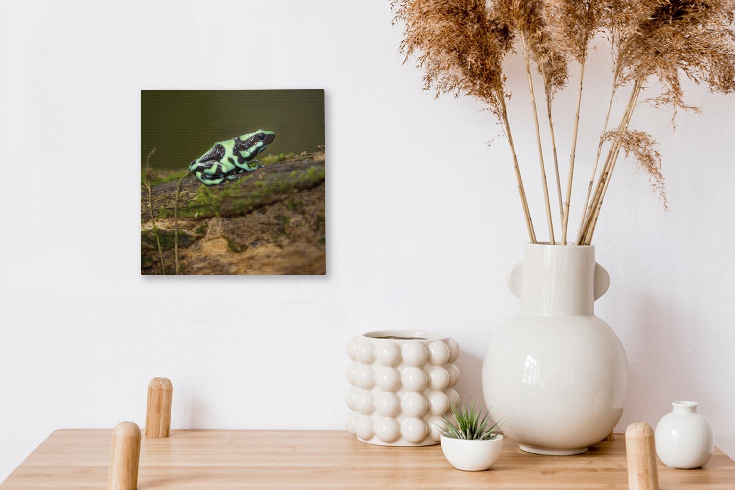 OneMillionCanvasses® Costa Grüner St), Pfeilgiftfrosch auf einem Rica, Schlafzimmer Baumstamm (1 Leinwandbild Bilder Leinwand Wohnzimmer in für