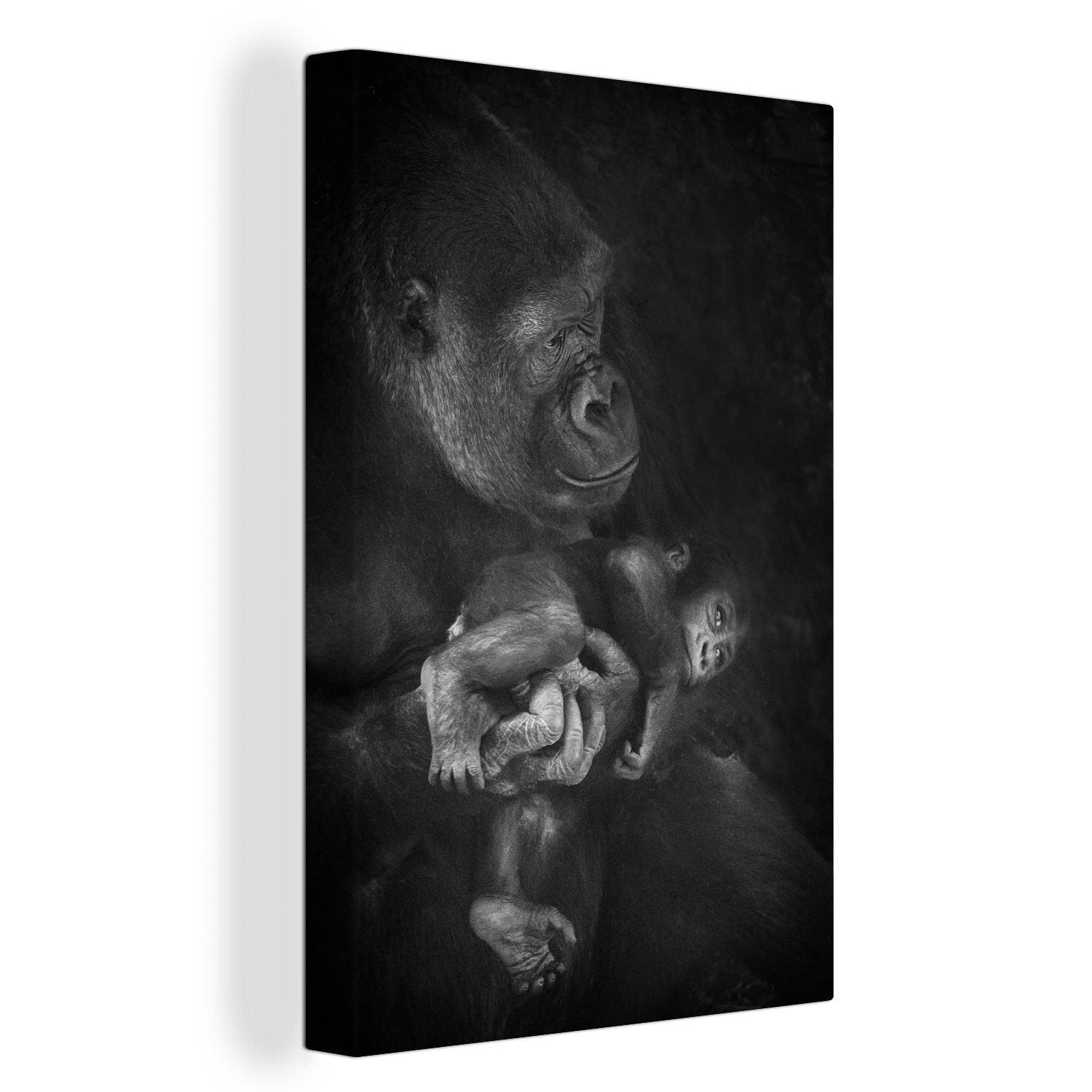 Schwarz Leinwandbild ein Händen Affenbaby Gorilla, Ein 20x30 Zackenaufhänger, in hält, OneMillionCanvasses® der cm Gemälde, inkl. Weiß, Leinwandbild (1 bespannt und fertig in den St),