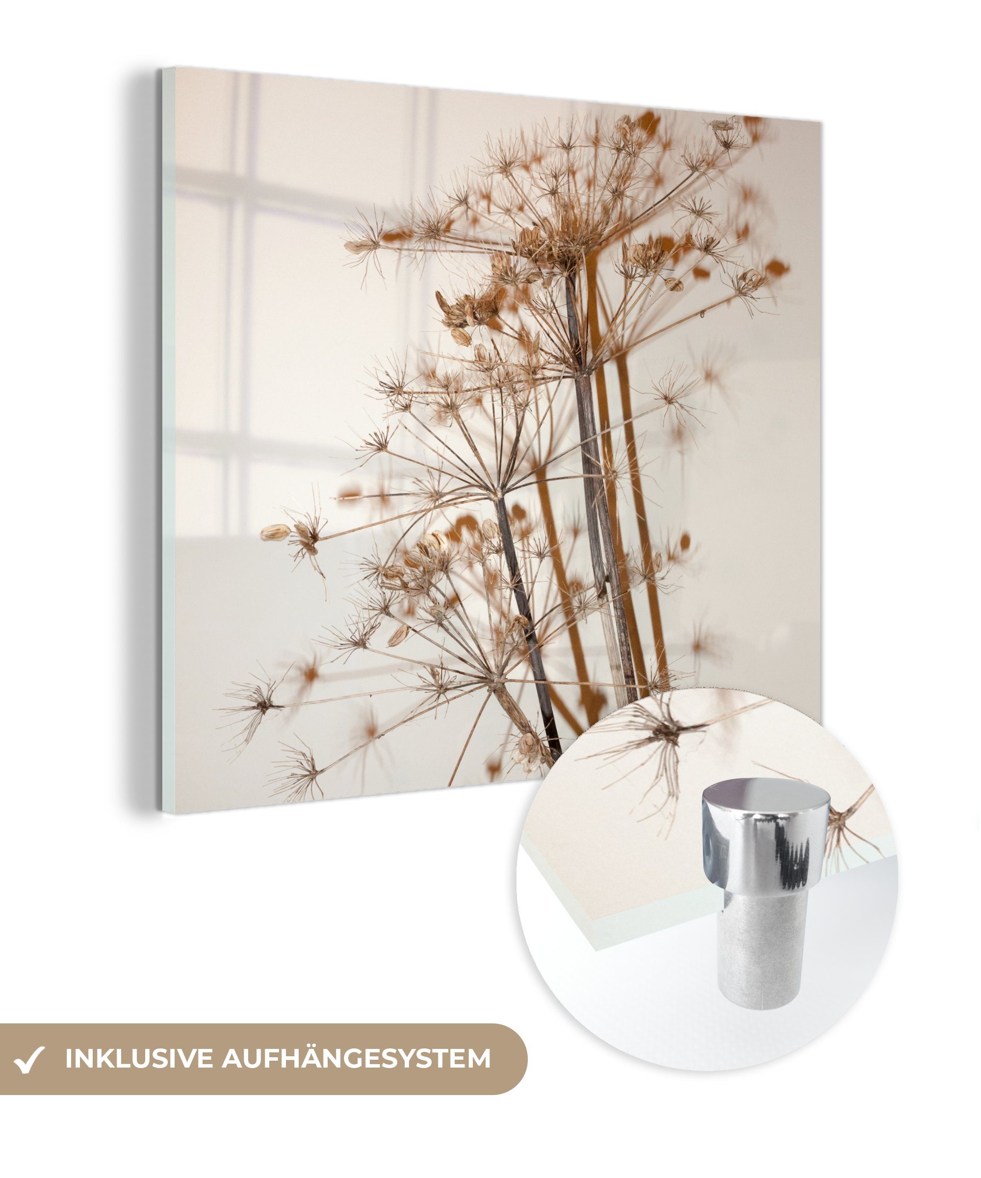 MuchoWow Acrylglasbild Getrocknete Blumen - Stillleben - Weiß - Pflanzen - Blumen, (1 St), Glasbilder - Bilder auf Glas Wandbild - Foto auf Glas - Wanddekoration bunt