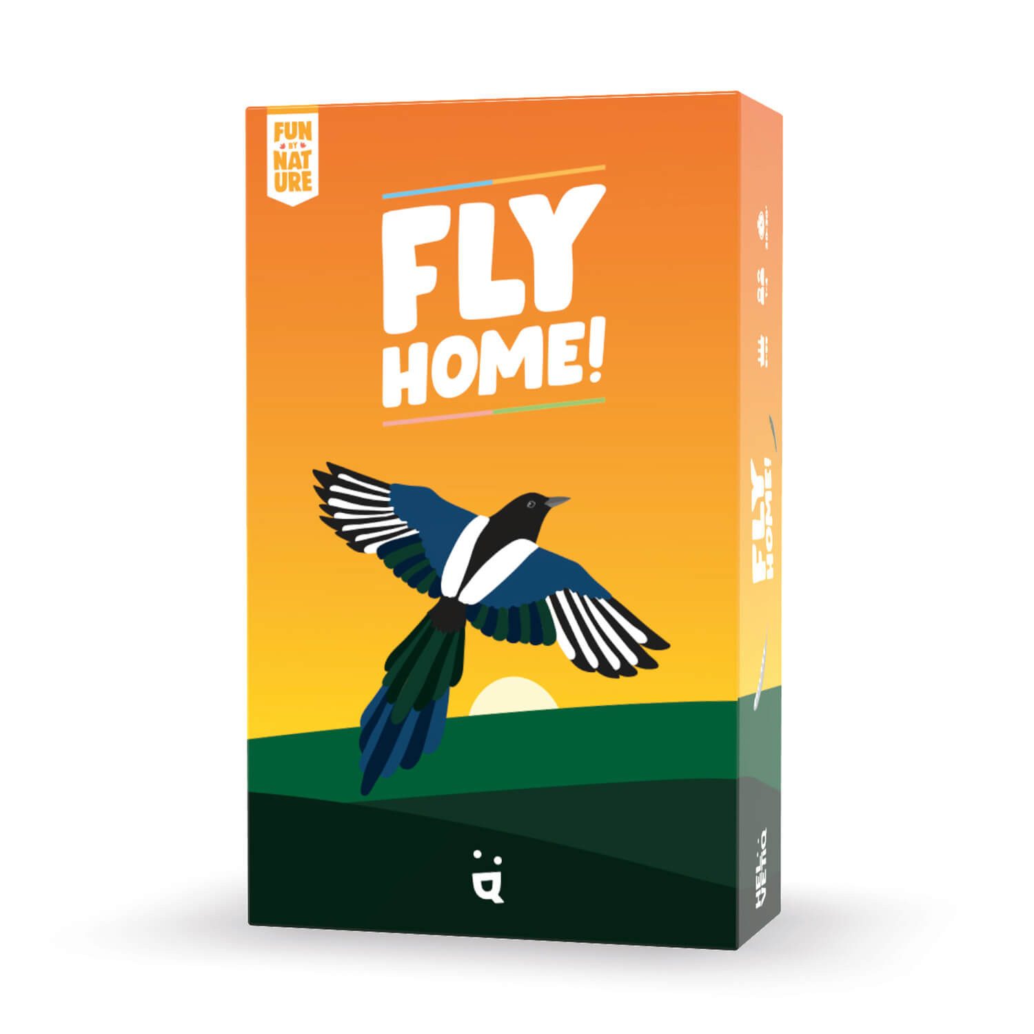 Helvetiq Spiel Fly Home!, Fly Home!