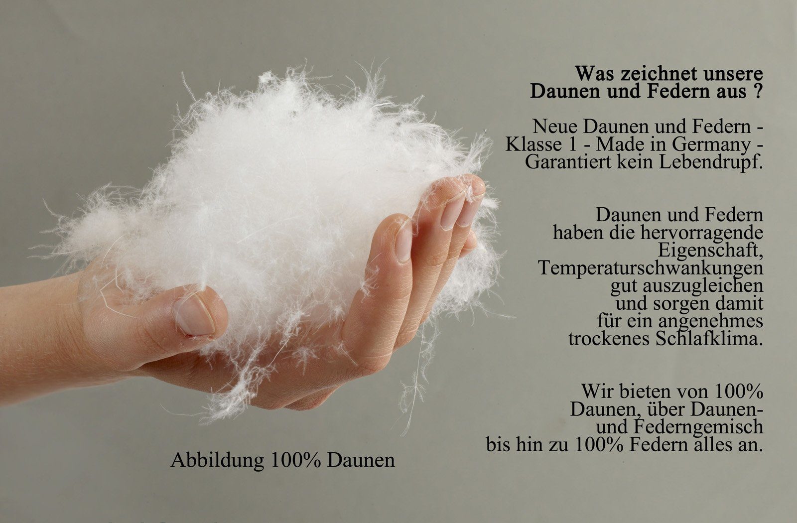 Daunenbettdecke, Franzi-3, 100% Daunen, Winter-Daunendecke Baumwolle, Bezug: leichte 100% extrawarme franknatur, Füllung
